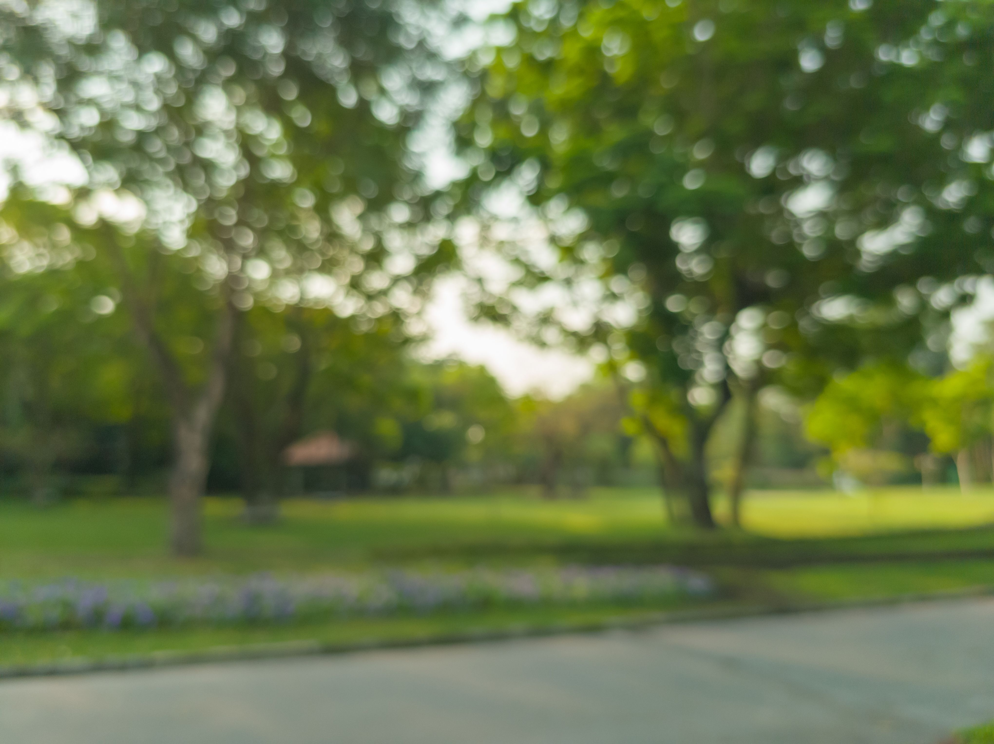 public park