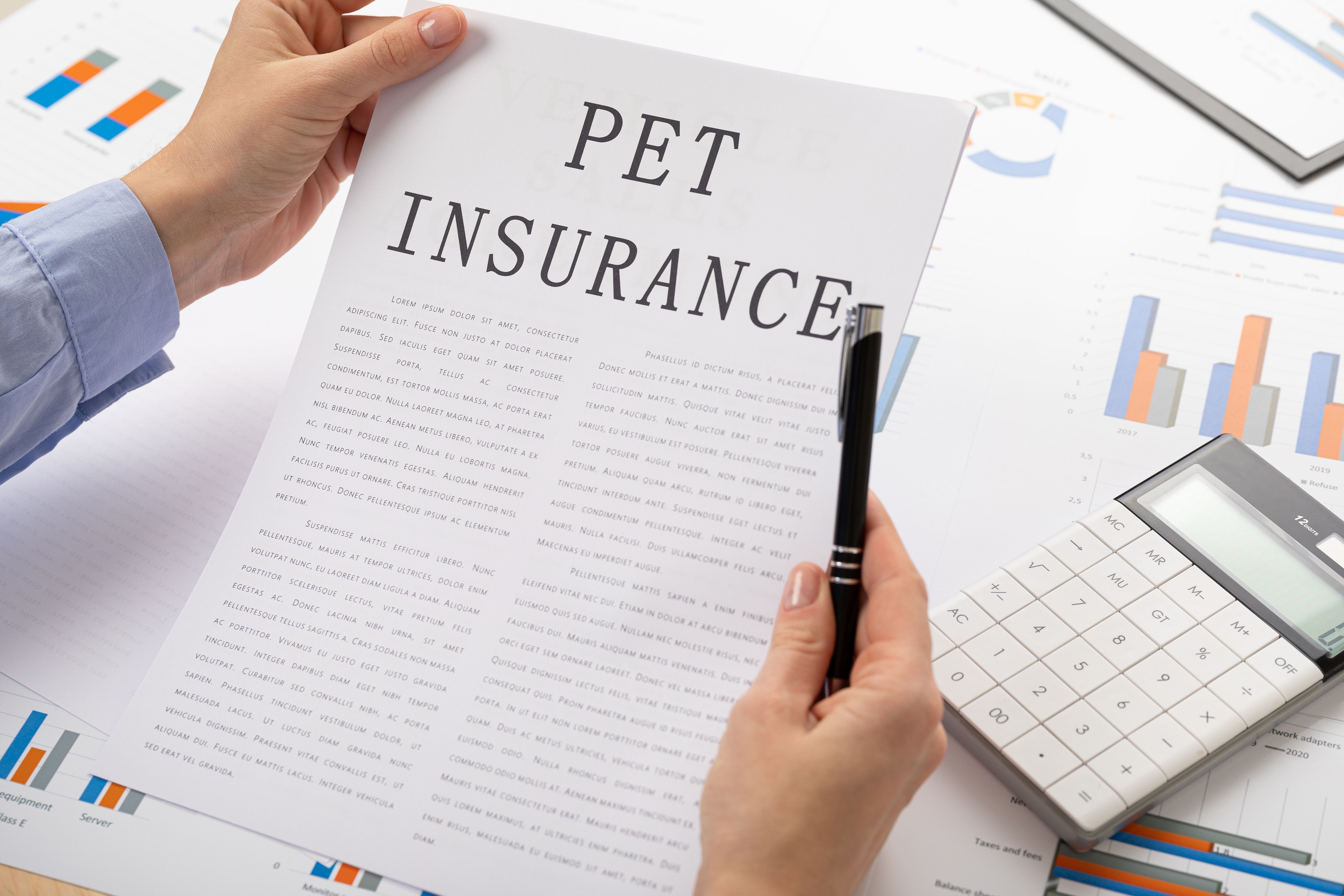 pet insurance documents