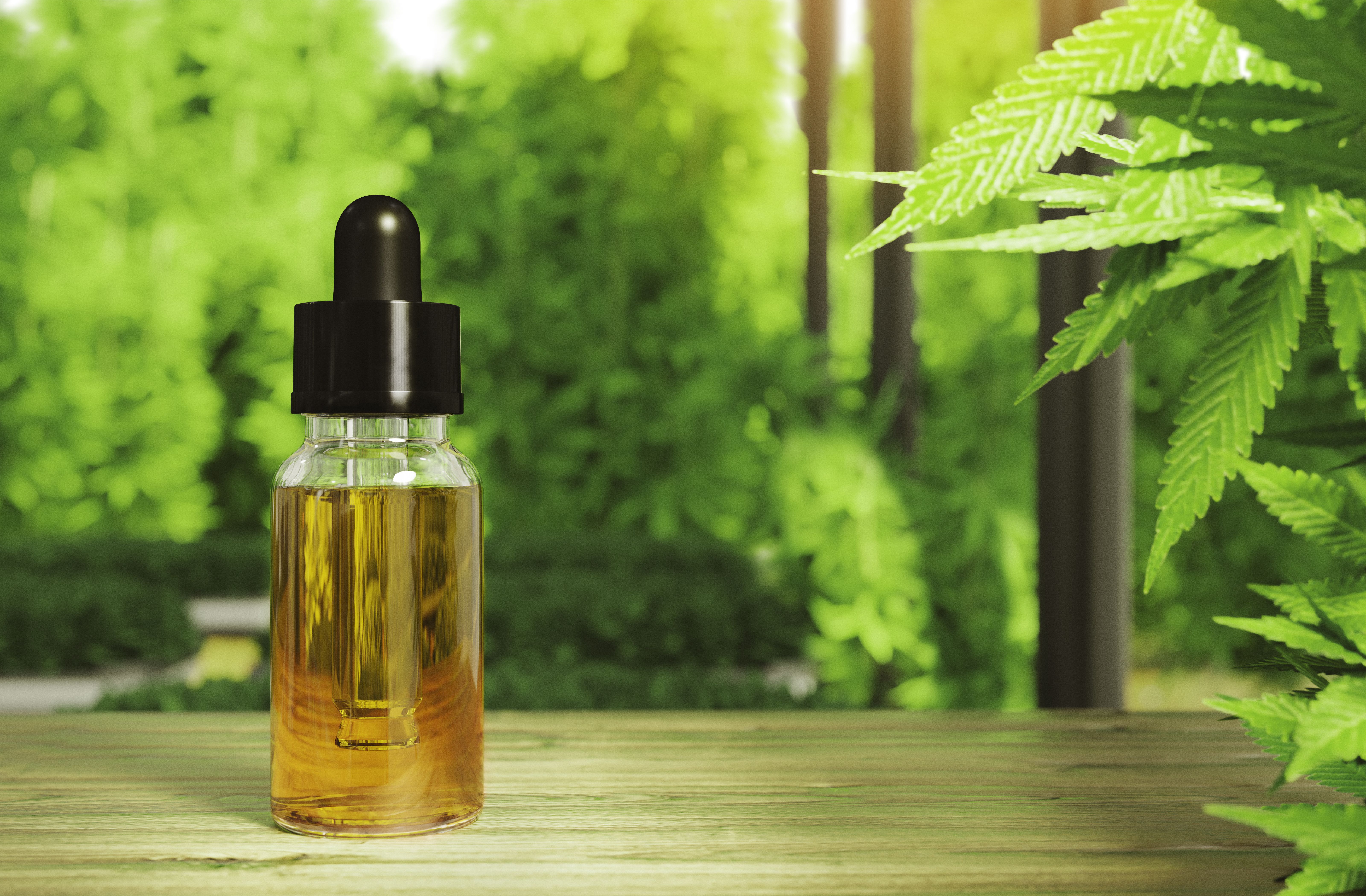CBD oil bottle