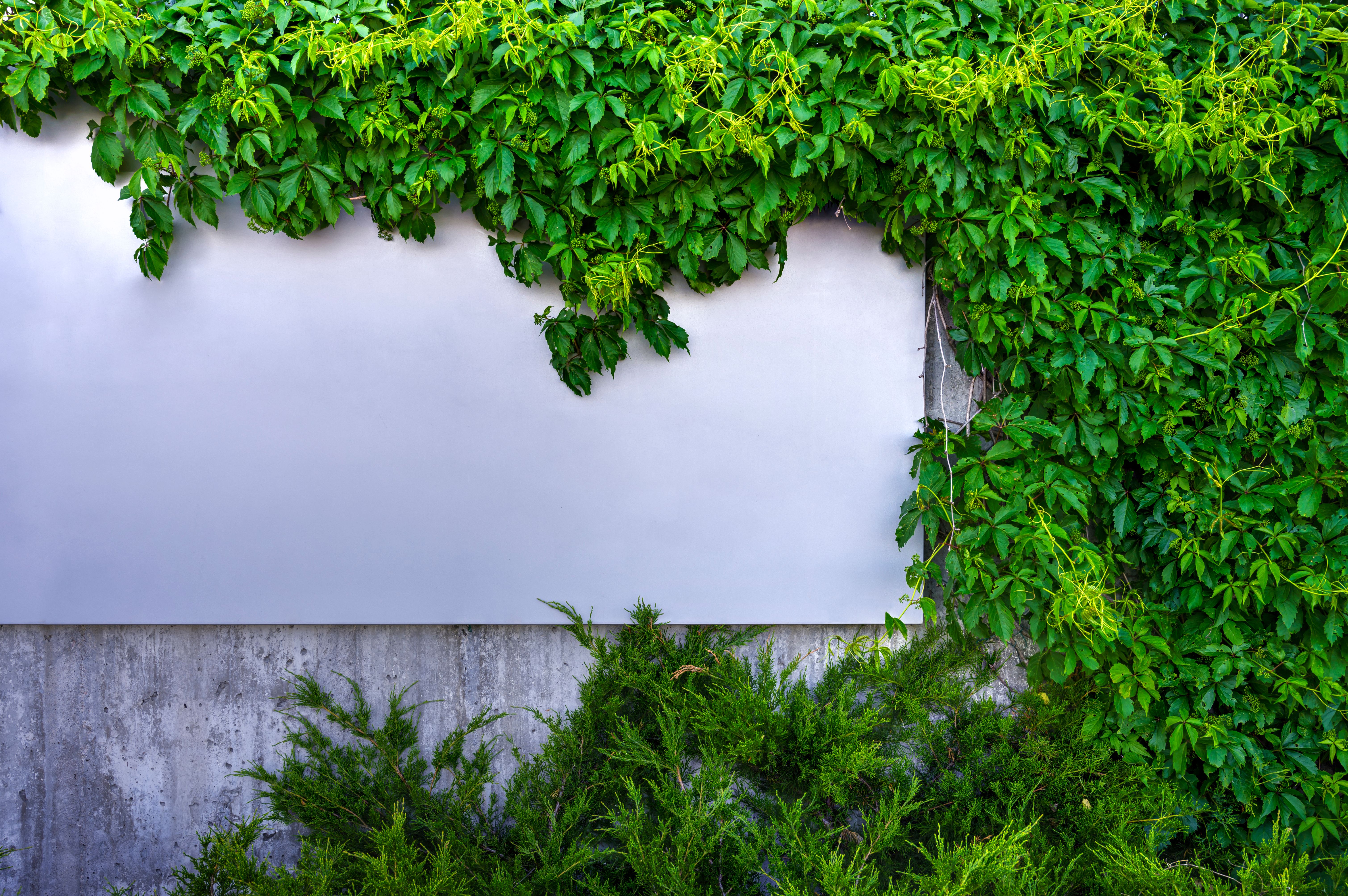 green building materials