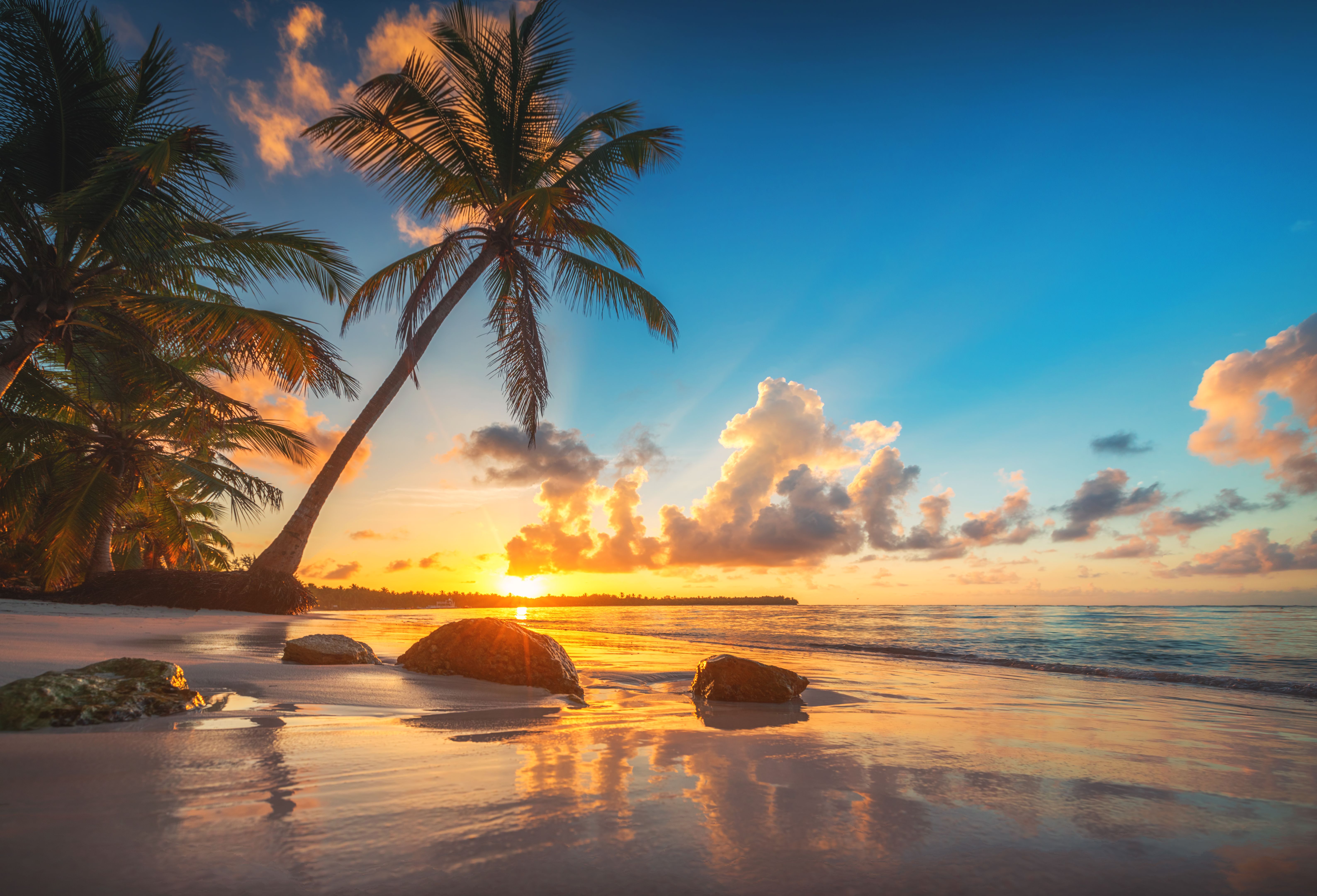 tropical landscape