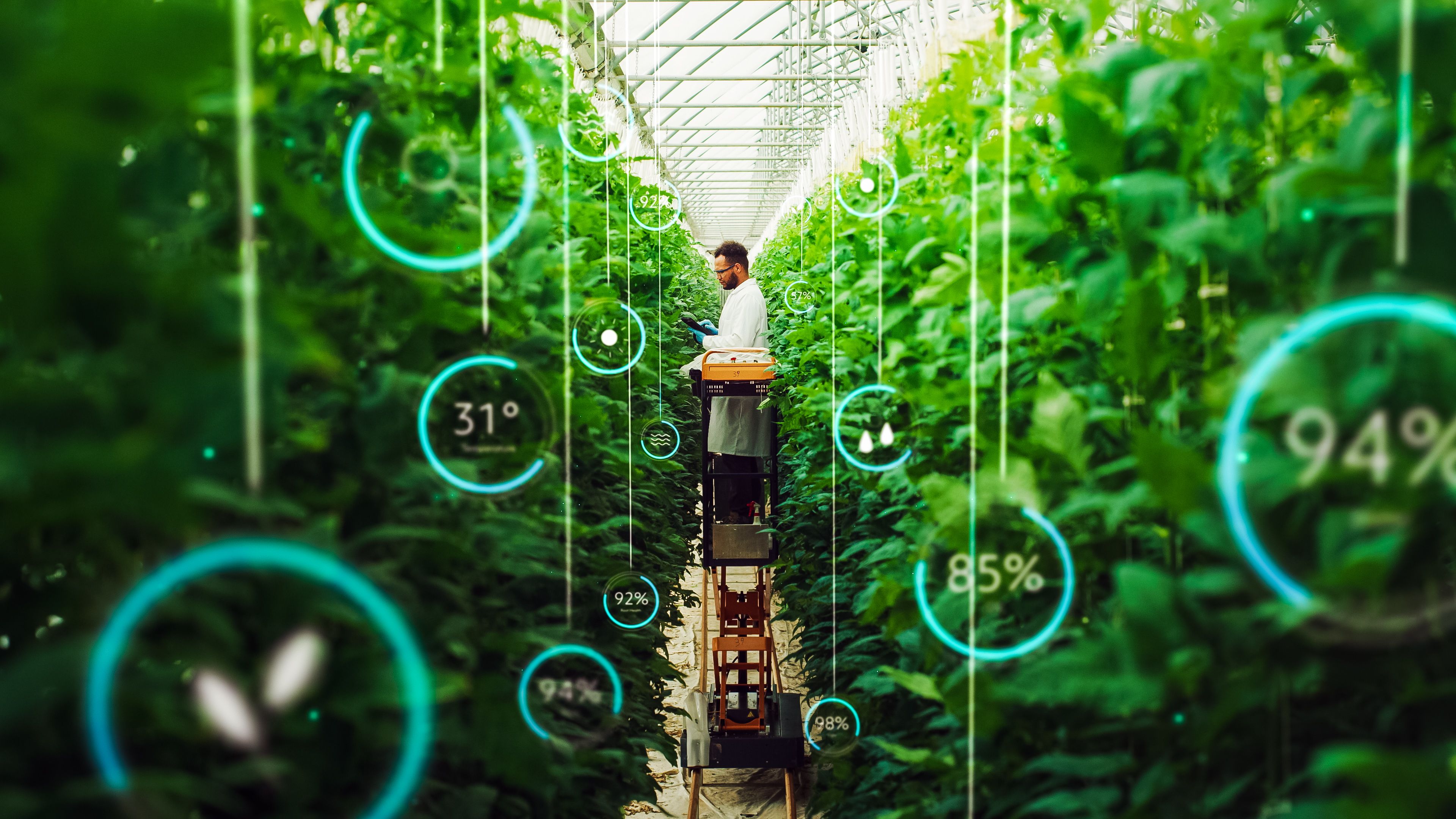 vertical farming