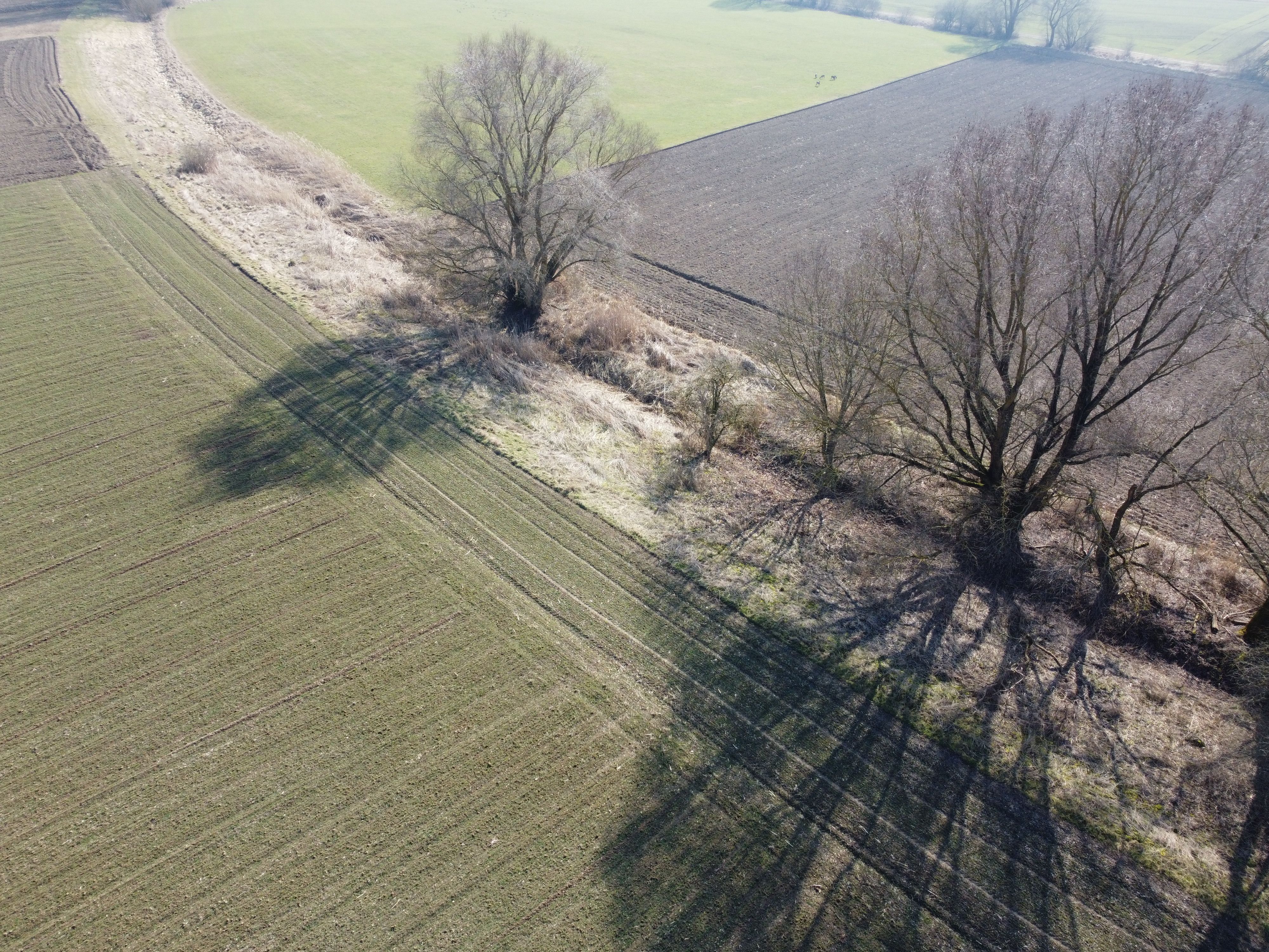 planen drohnenaufnahmen