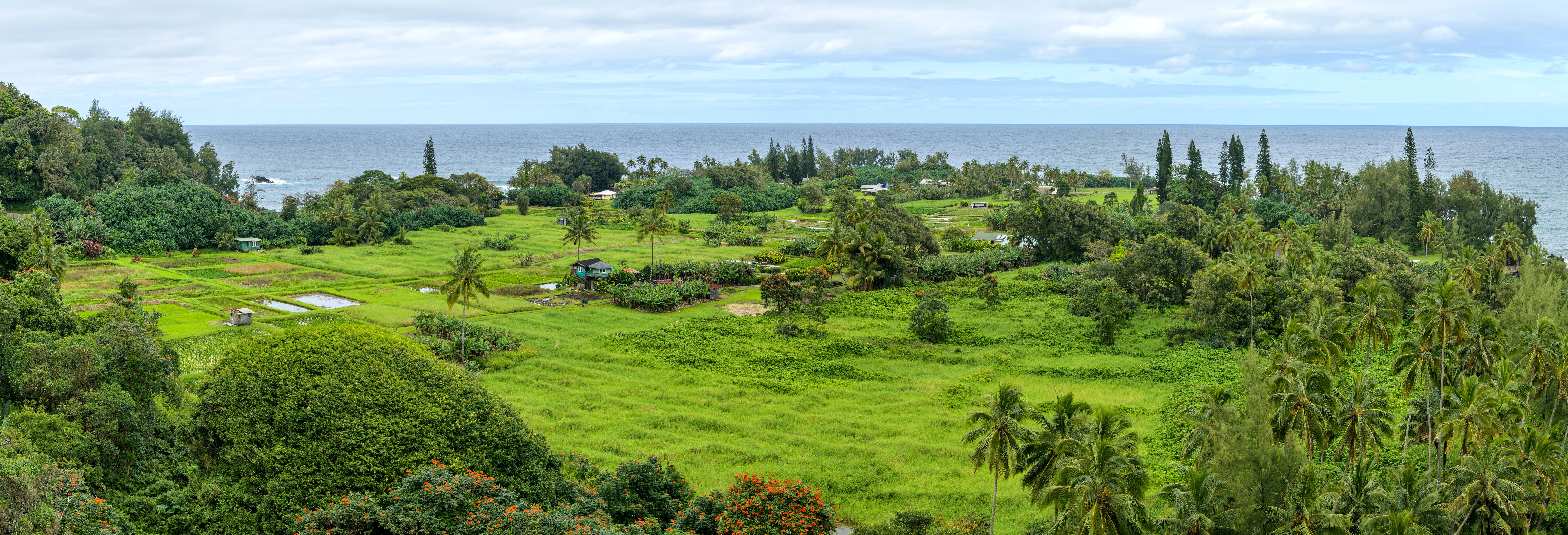 hana farms