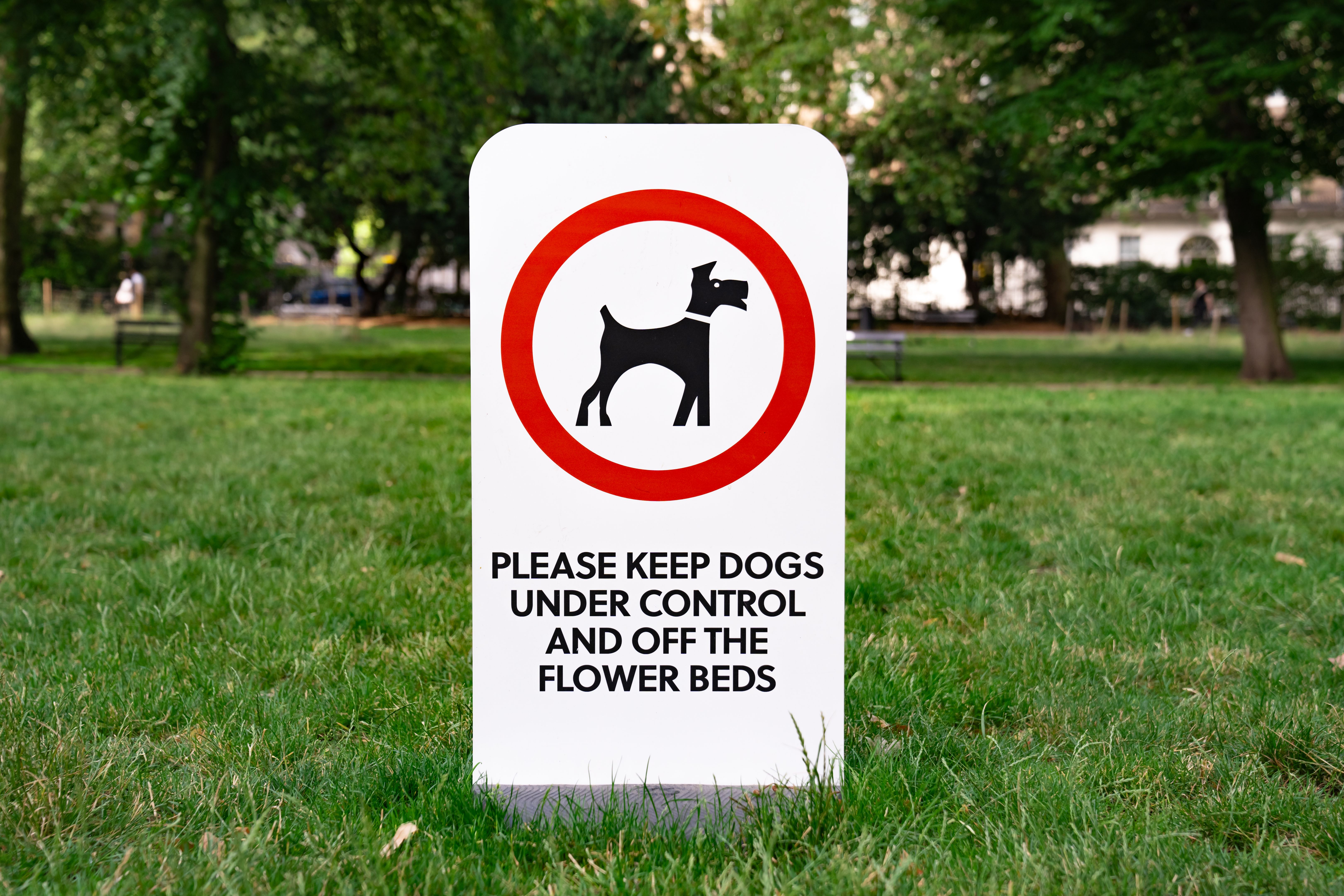 dog rules sign