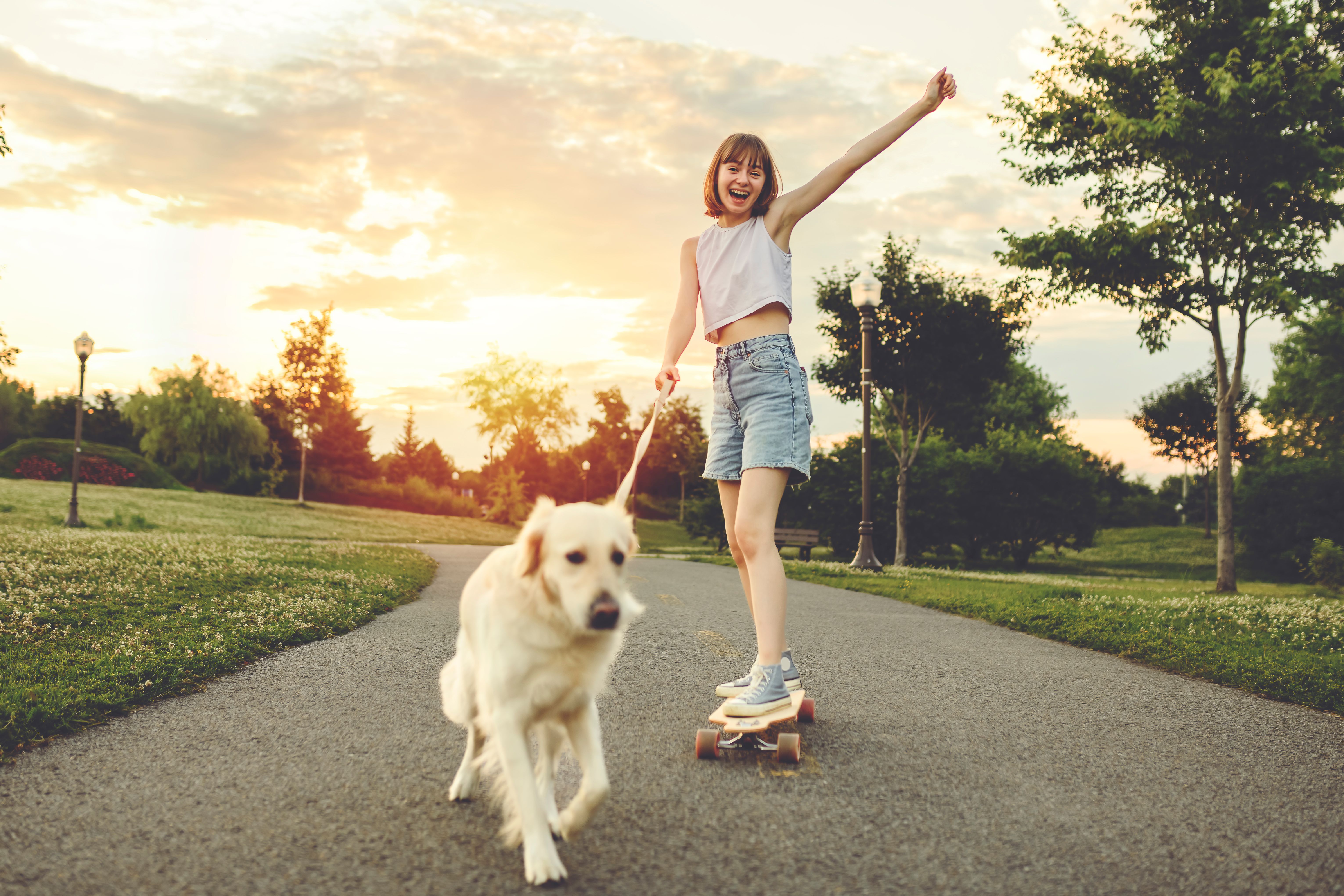 skateboarding journey