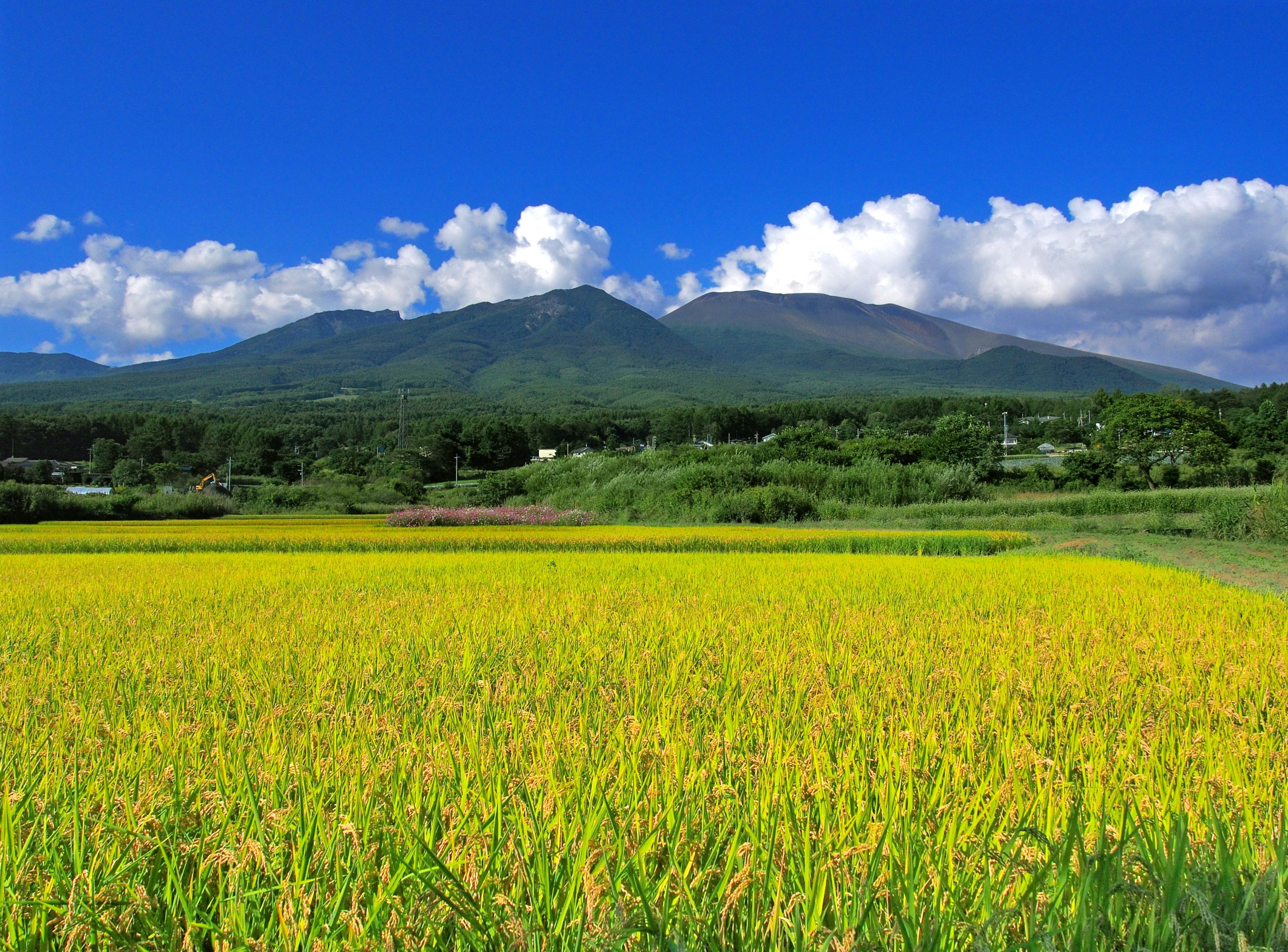 Japanese countryside