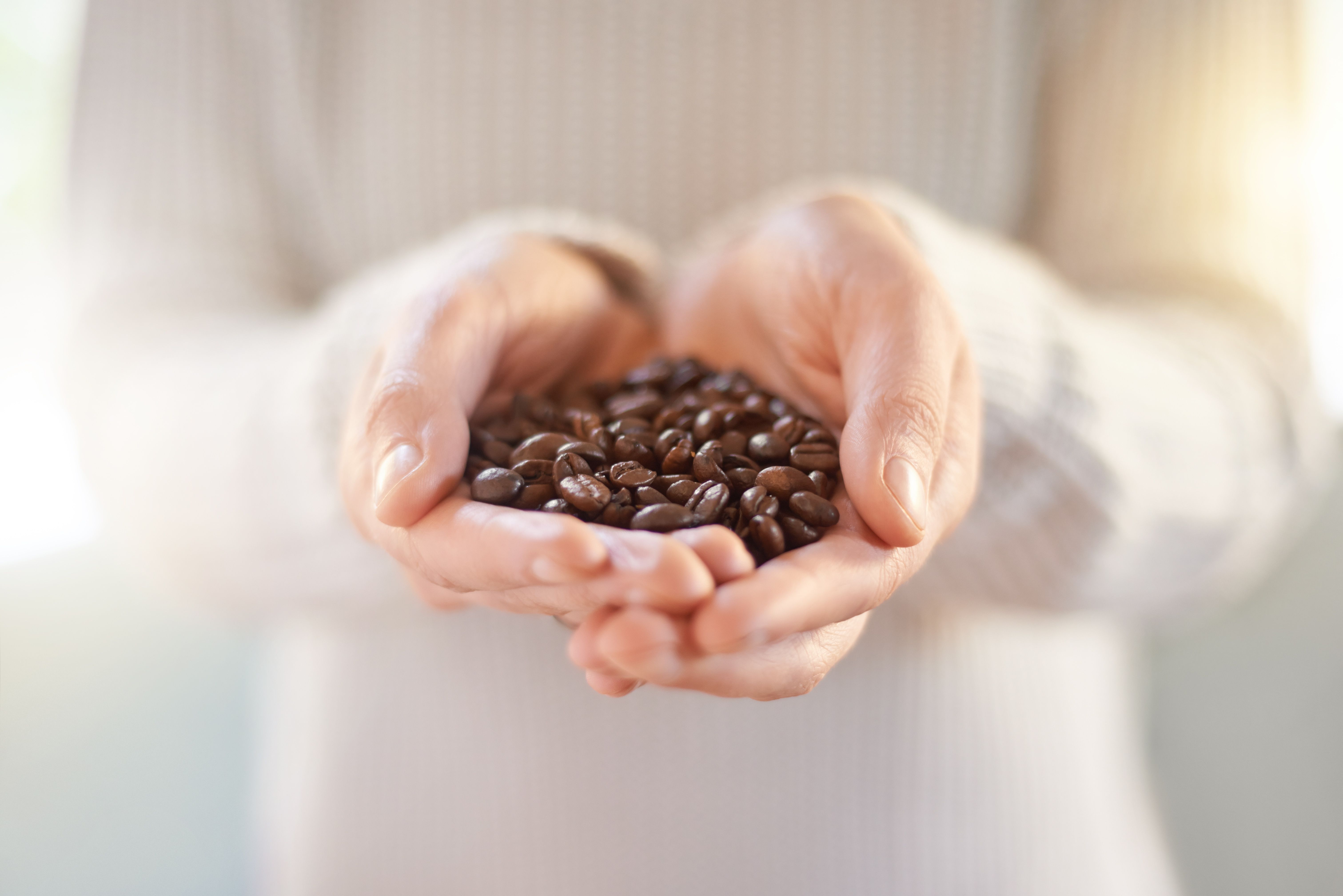 coffee cupping