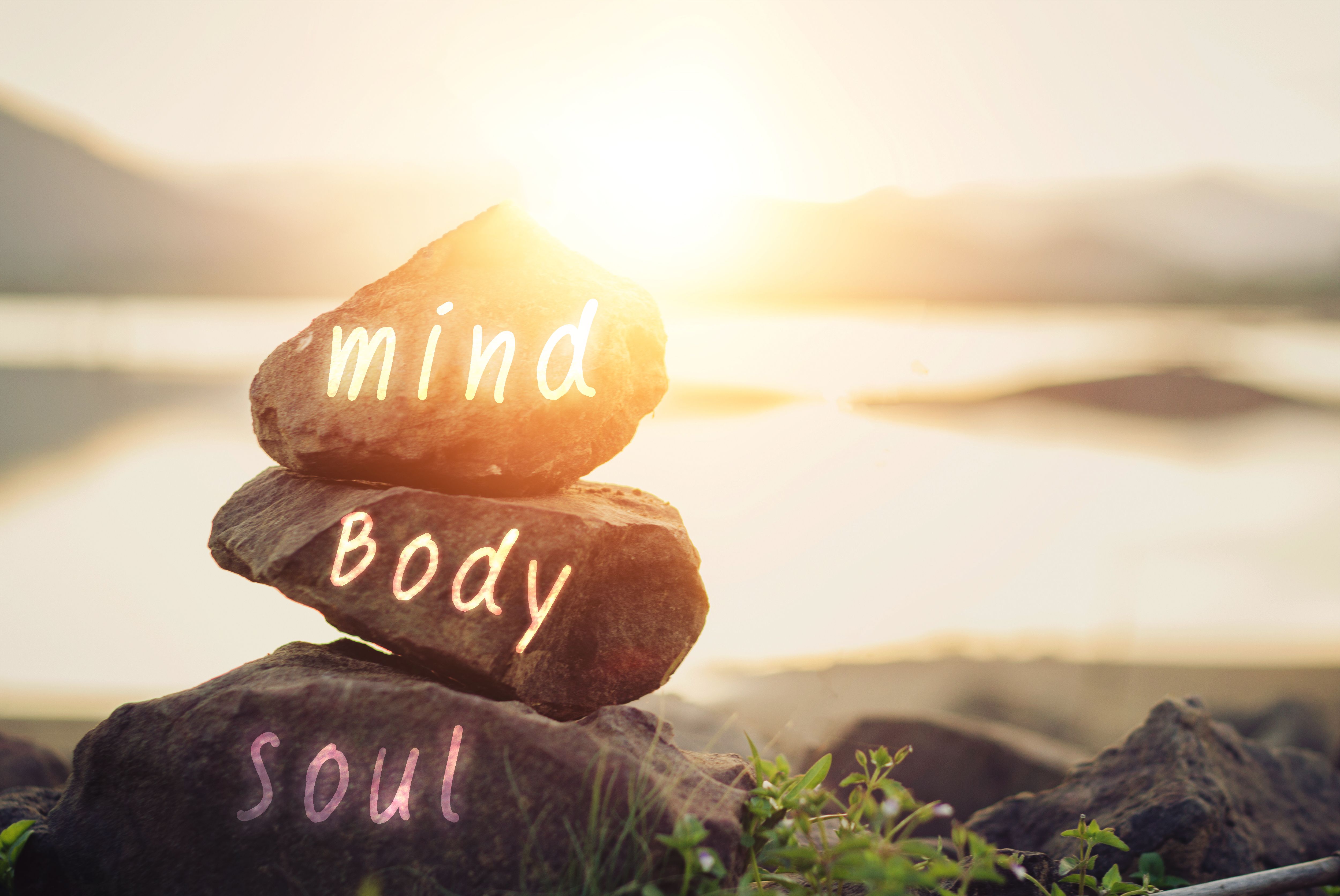 holistic wellness