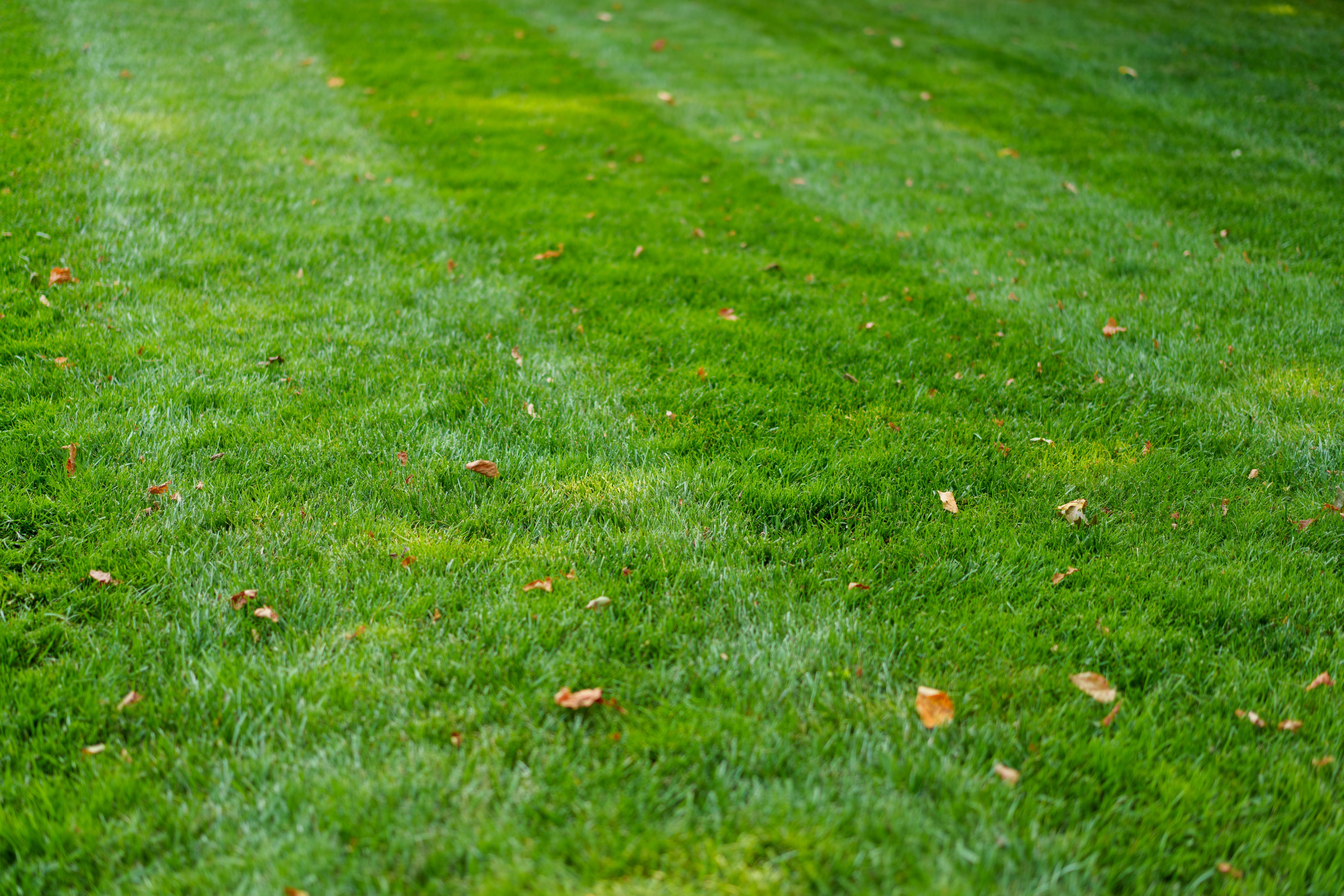 house exterior repair