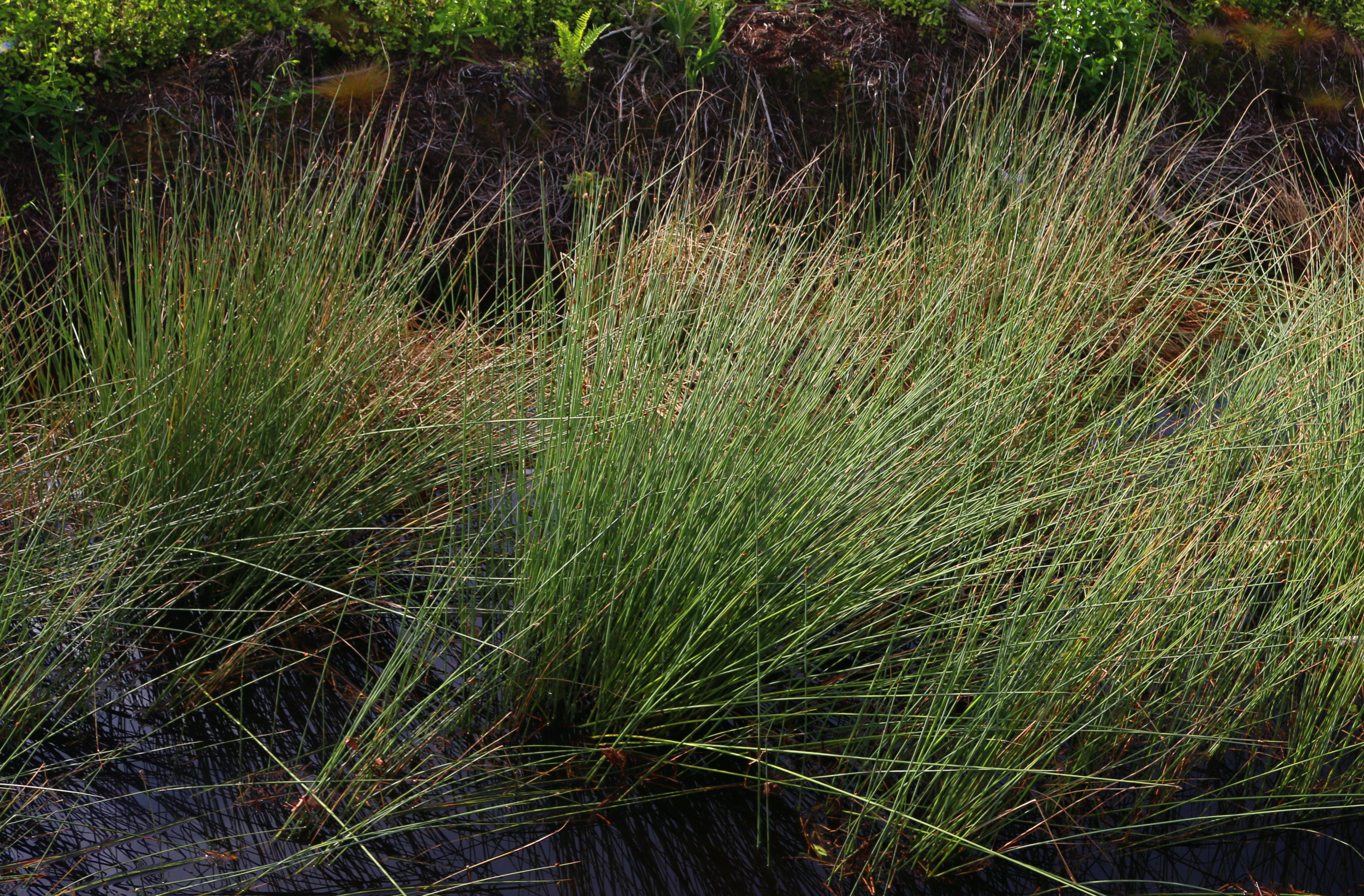 wet area mat