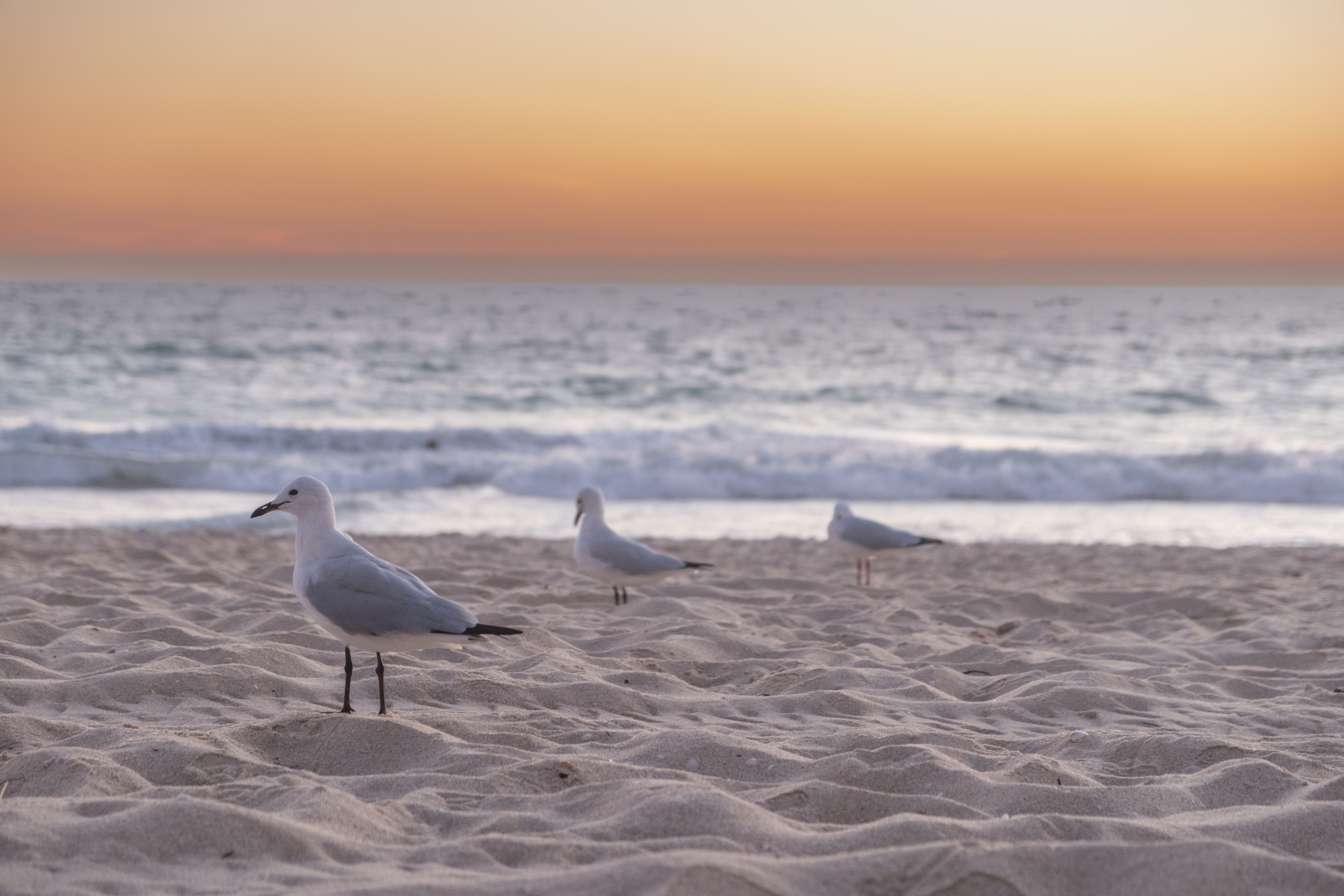 western australia climate