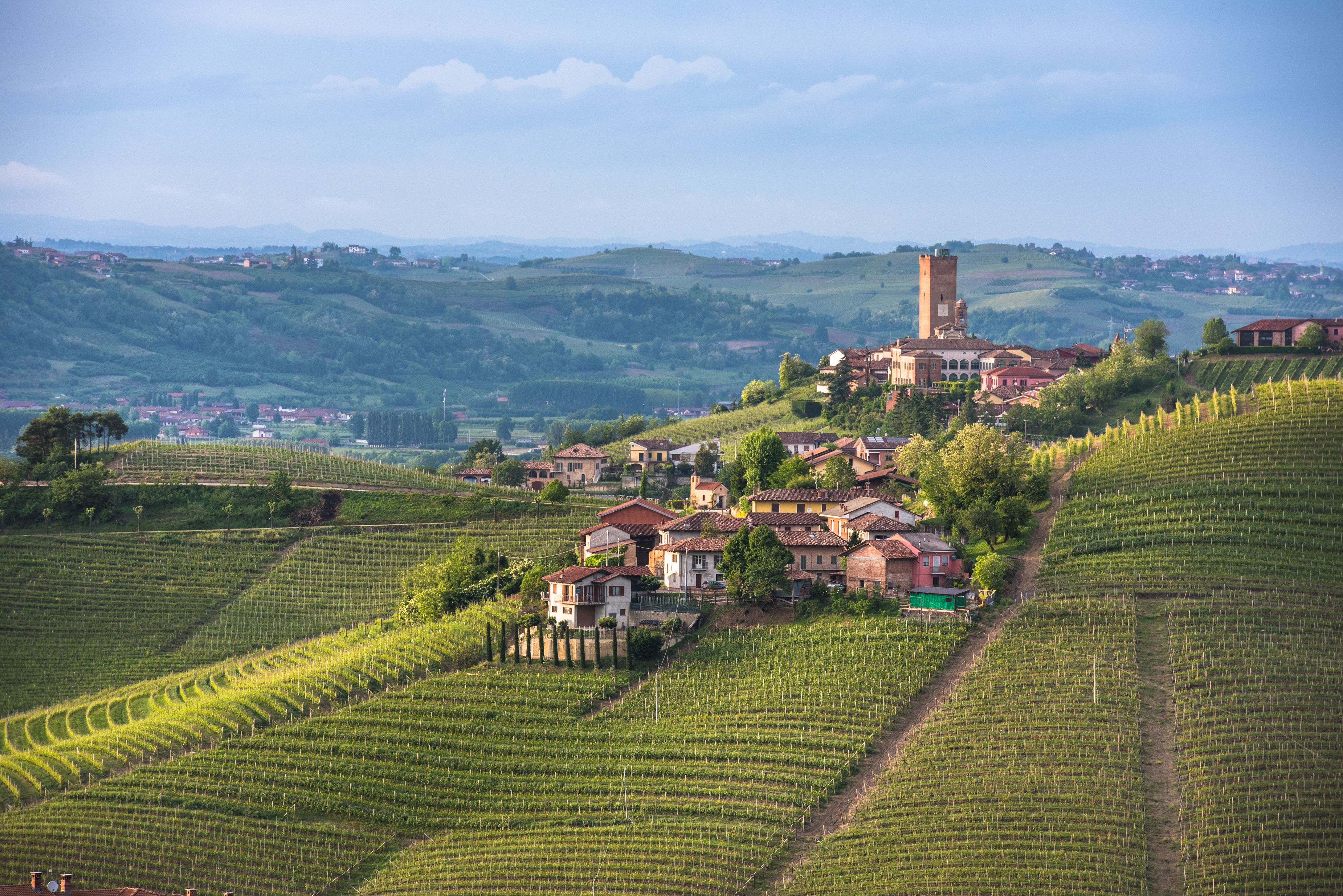 italy wine regions