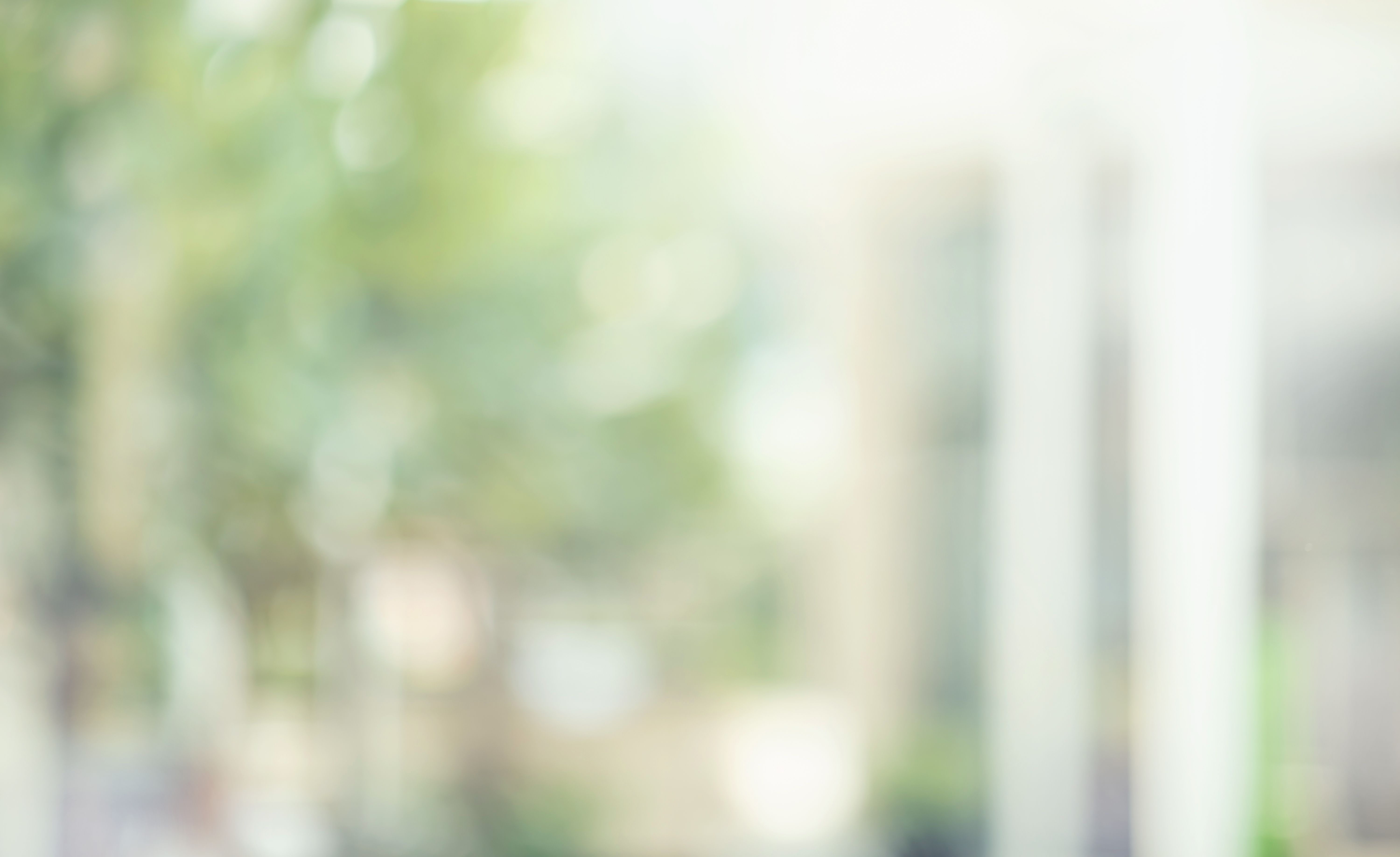 eco friendly windows