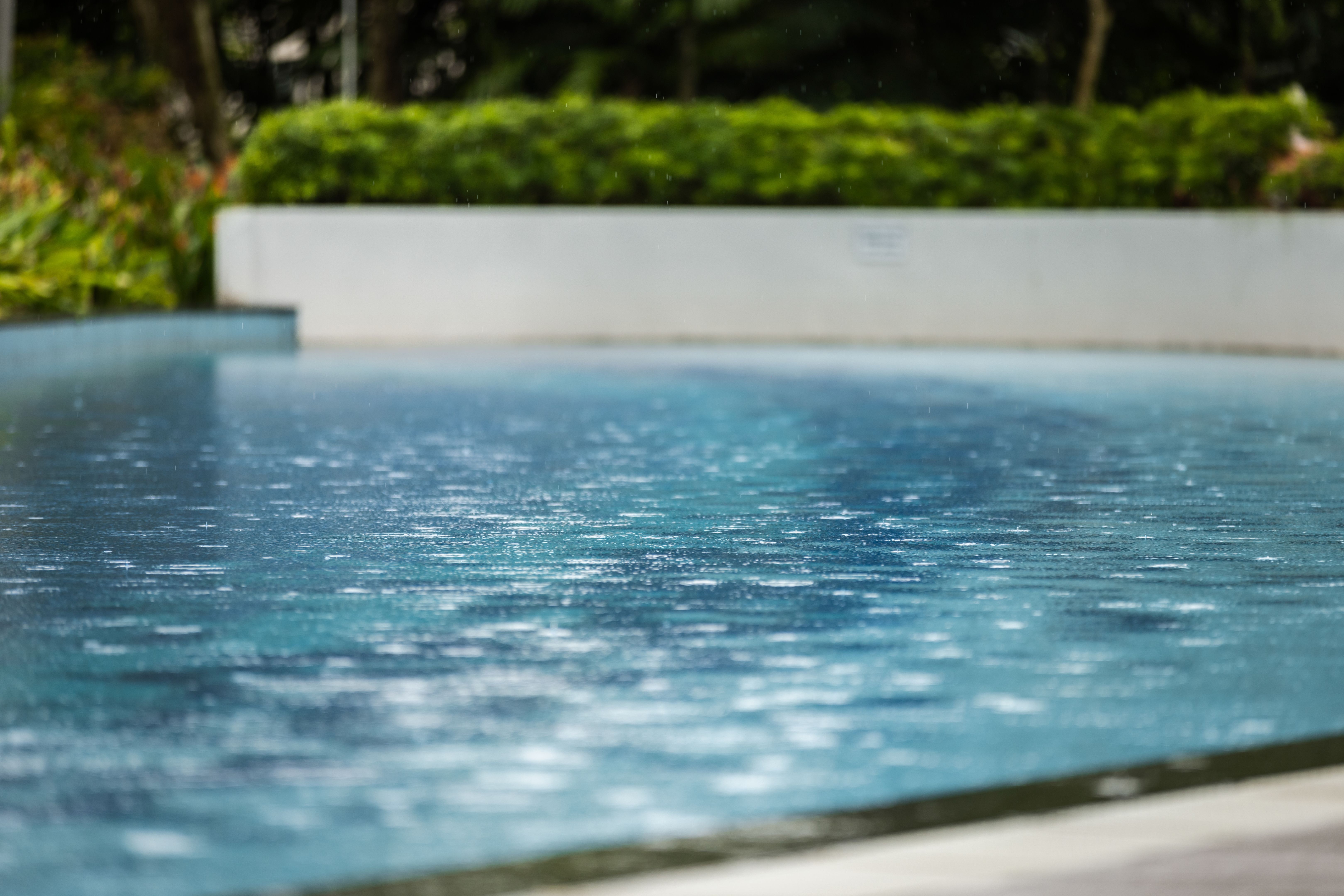 weather forecast pool