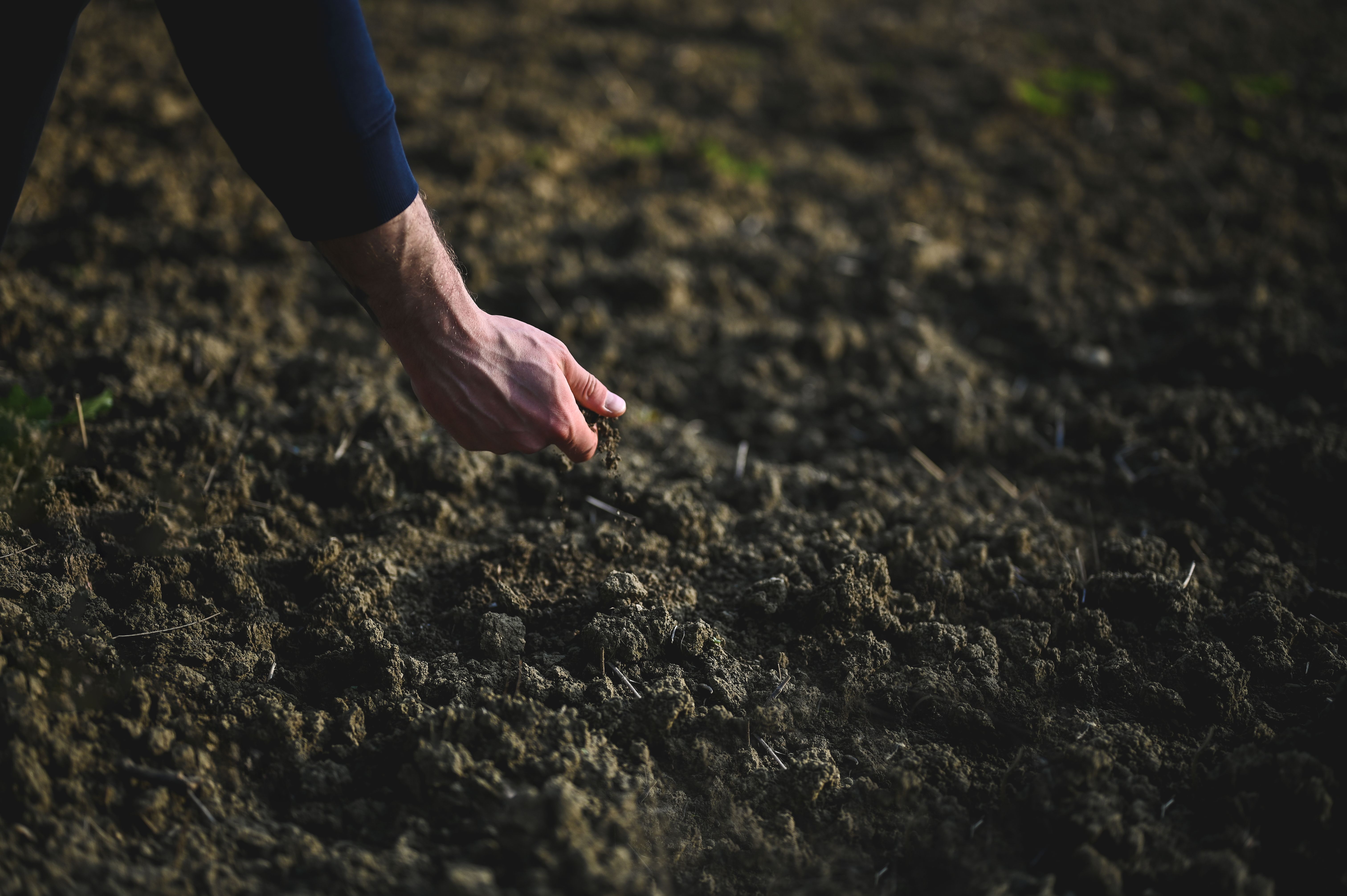 fertilizer soil test