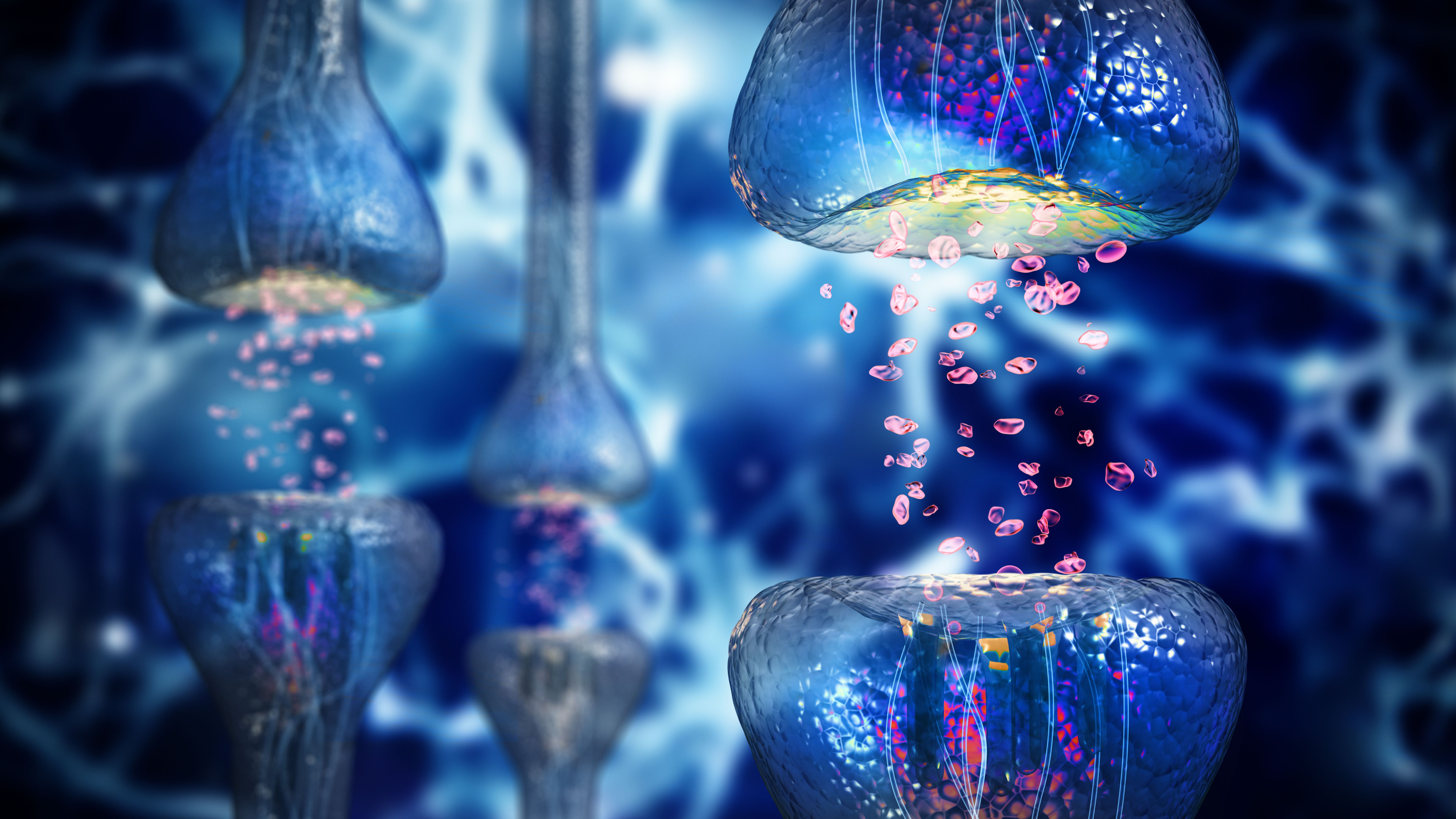 pain signal pathway
