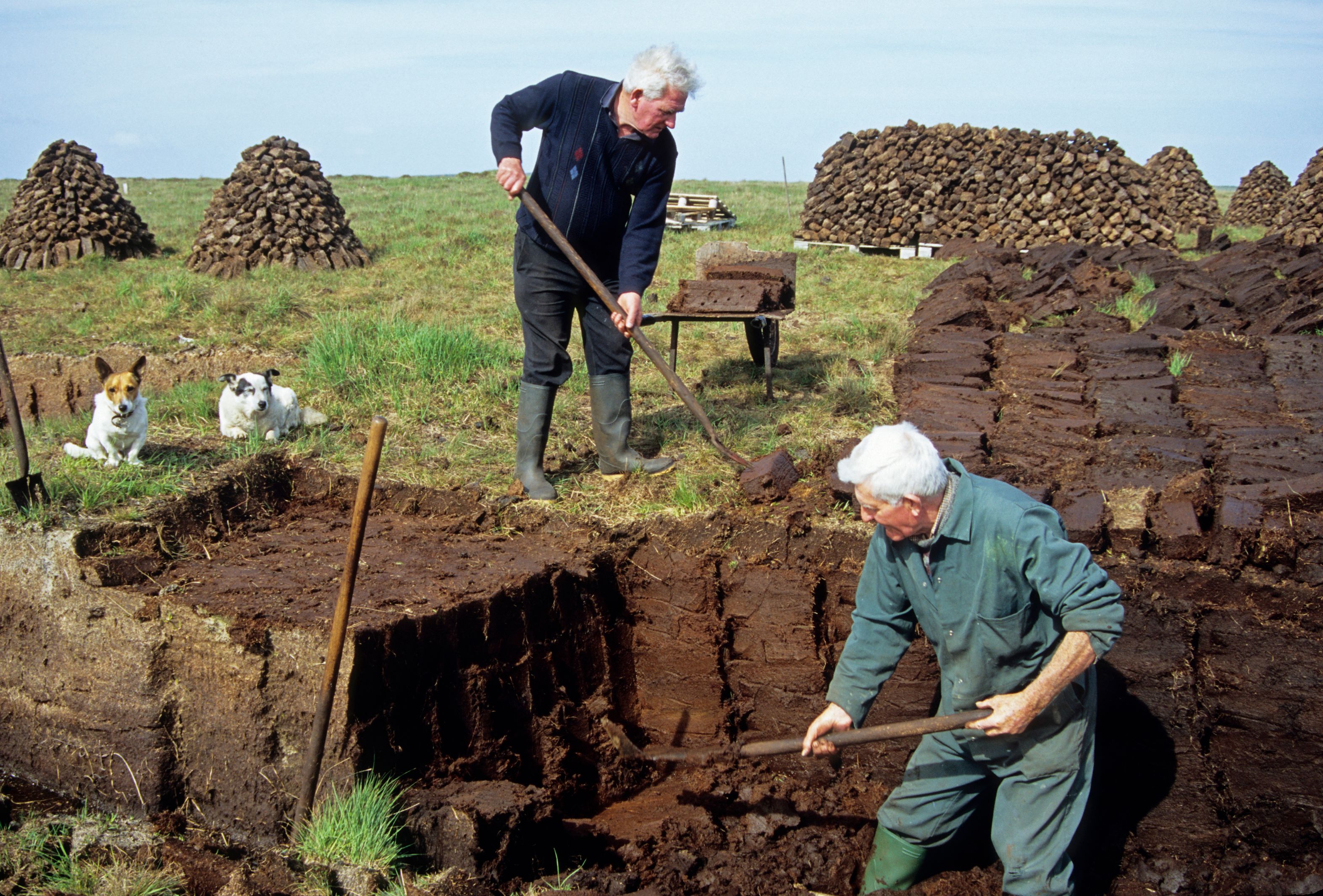 Men cutting turf from bog in Irish Republic