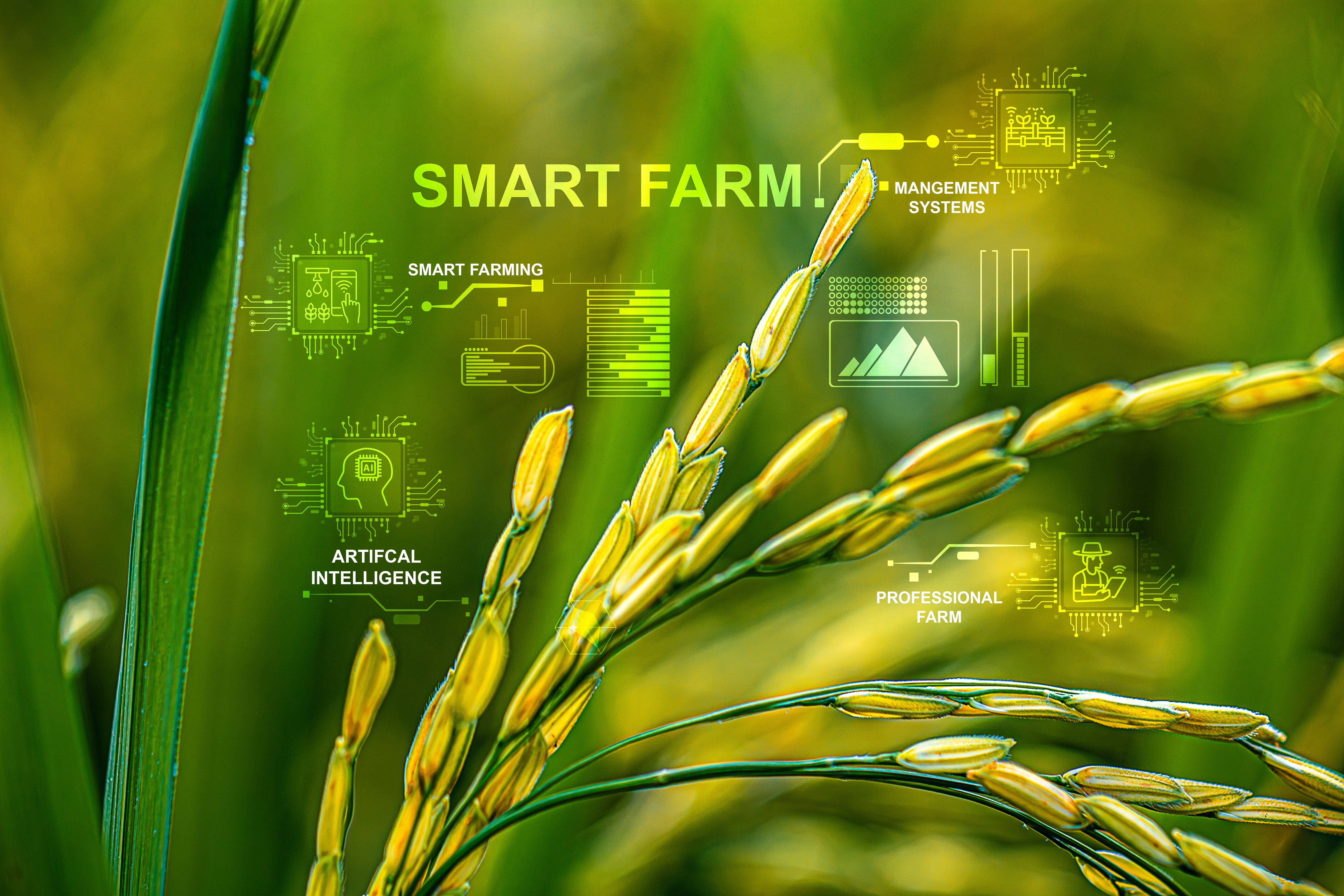 smart barn technology