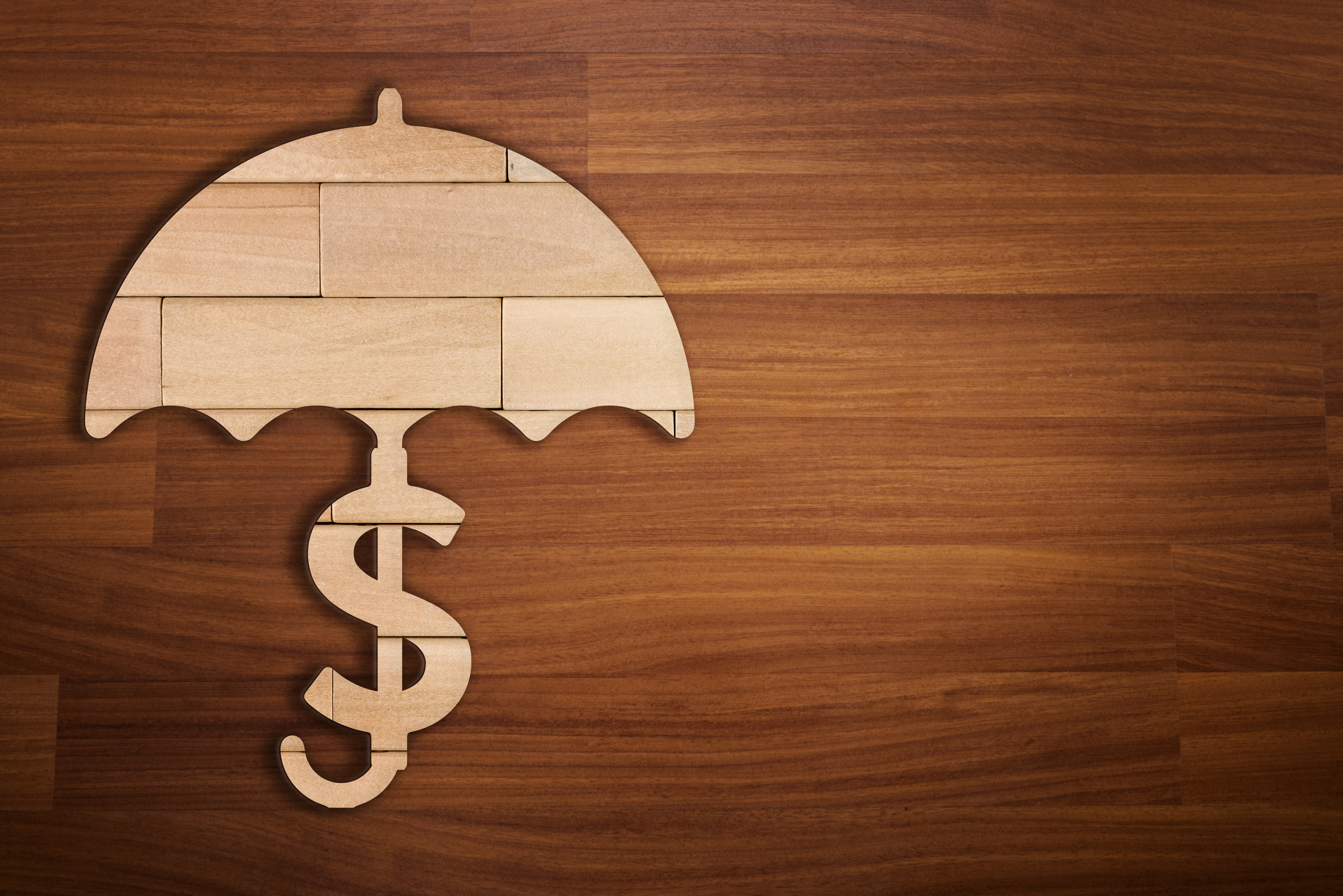 Wooden silhouette of dollar sign under umbrella