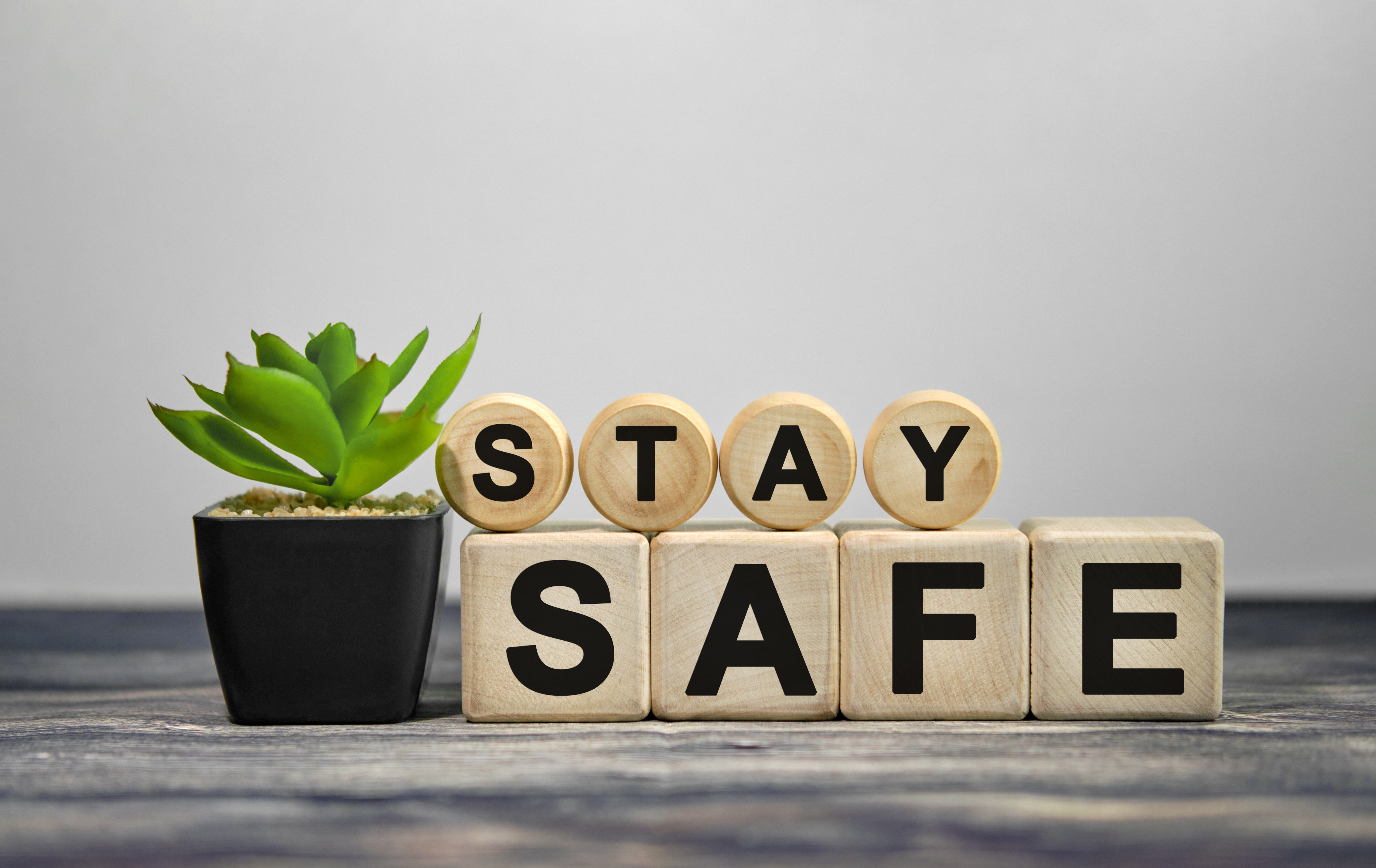 STAY SAFE - text on wooden cubes, green plant in black pot on a wooden background STAY SAFE - text on wooden cubes, green plant in black pot on a wooden background