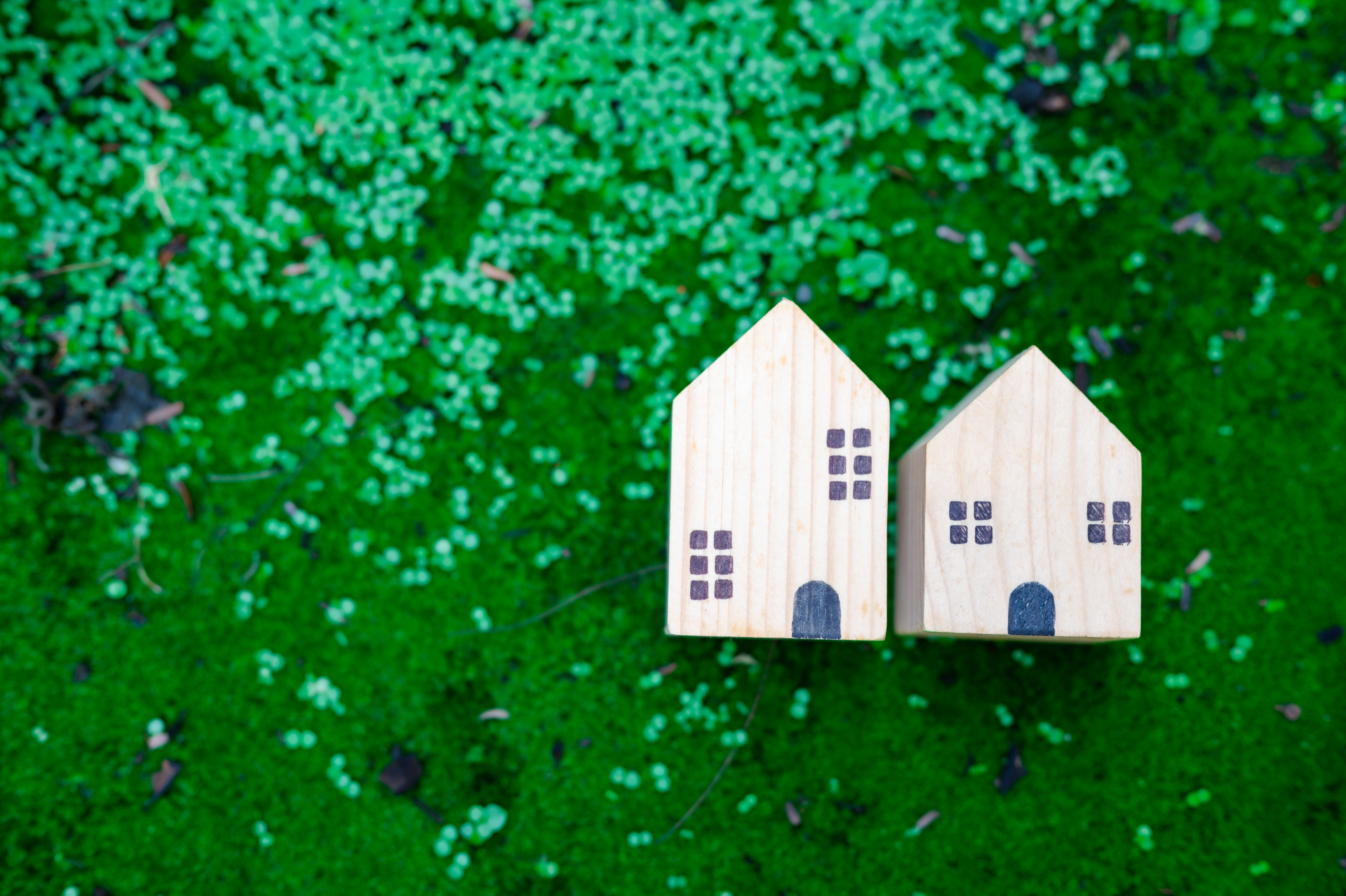 spring home planning