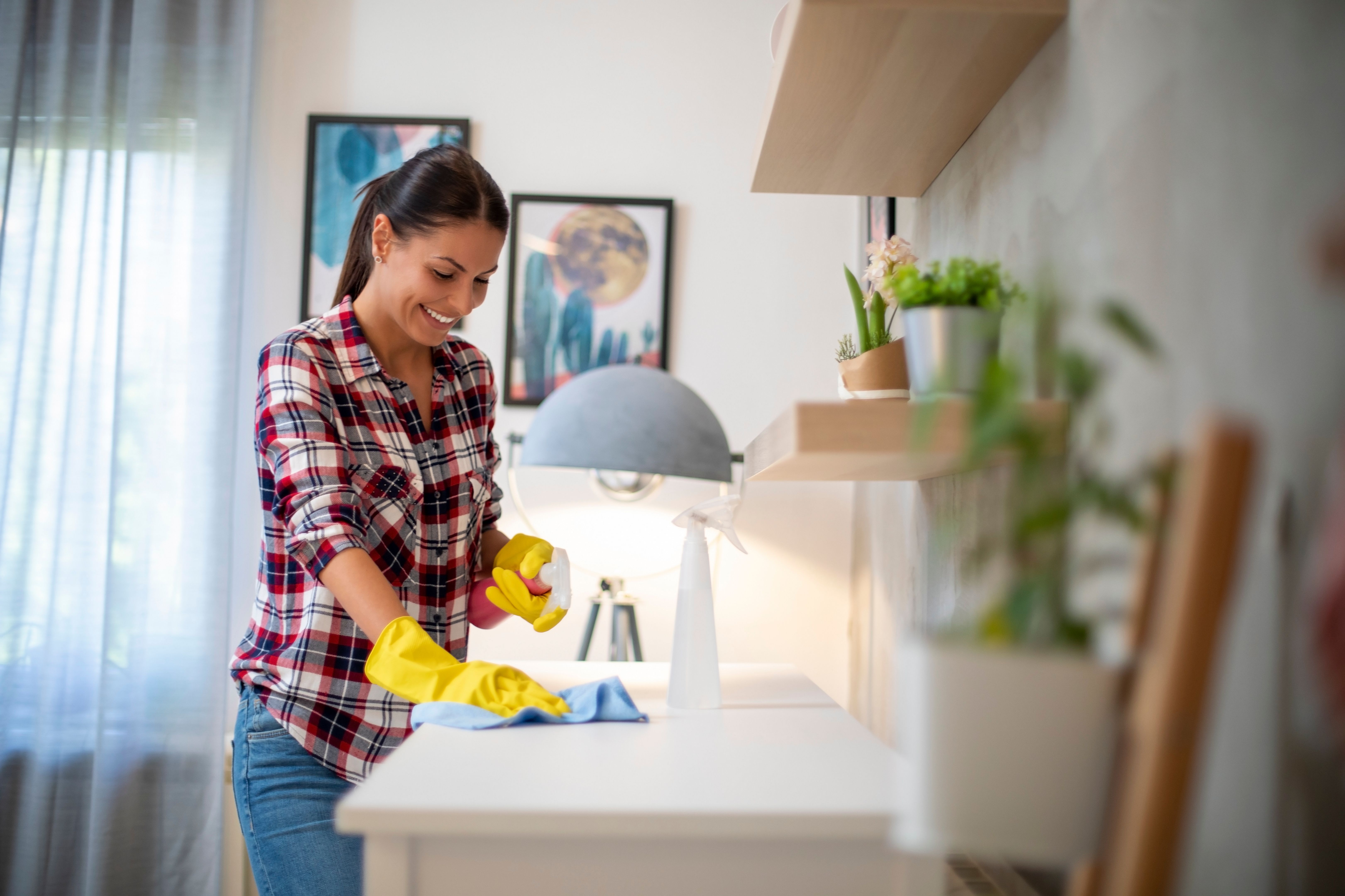 people-cleaning-home