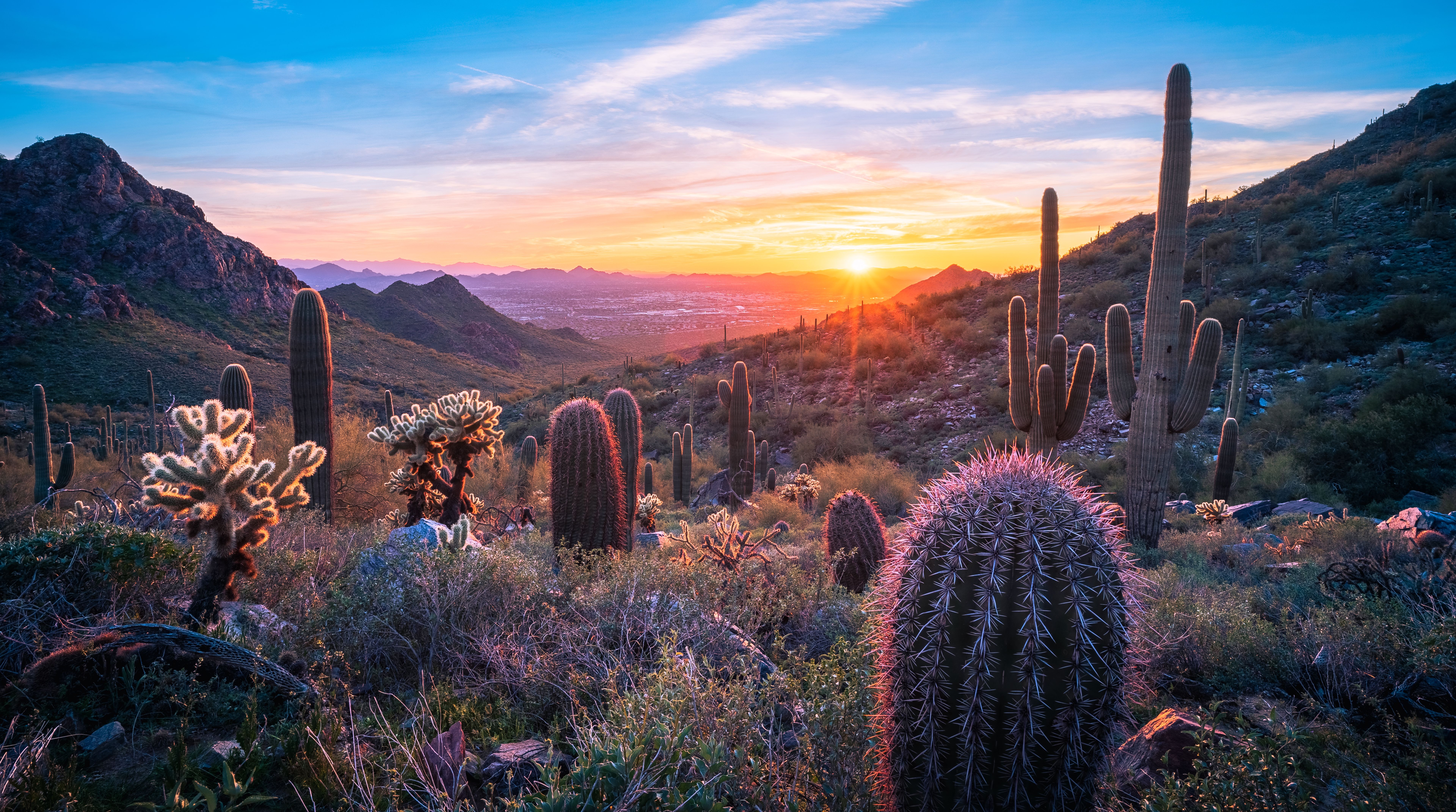 arizona desert