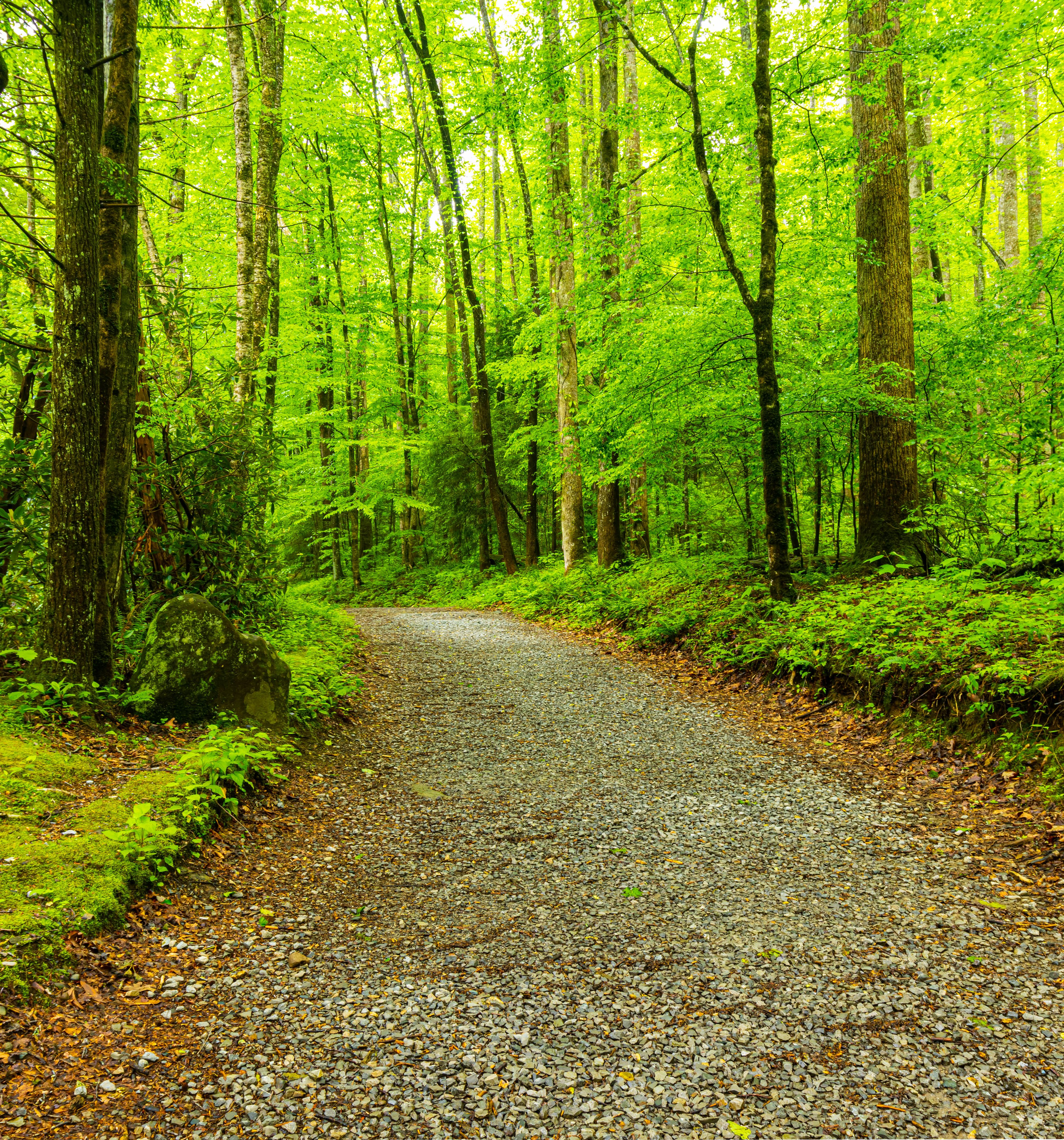 gatlinburg hidden trail