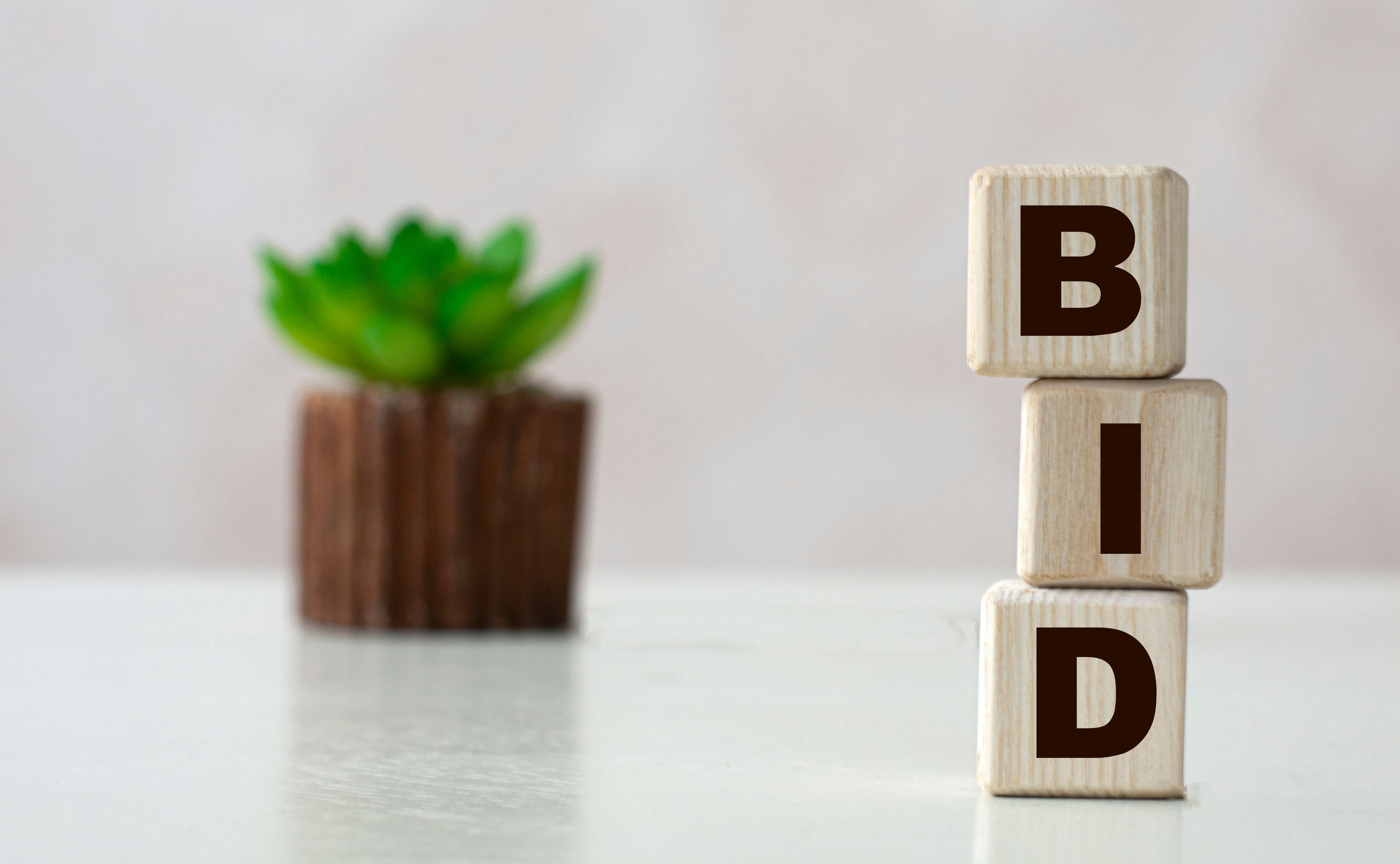 bidding strategy