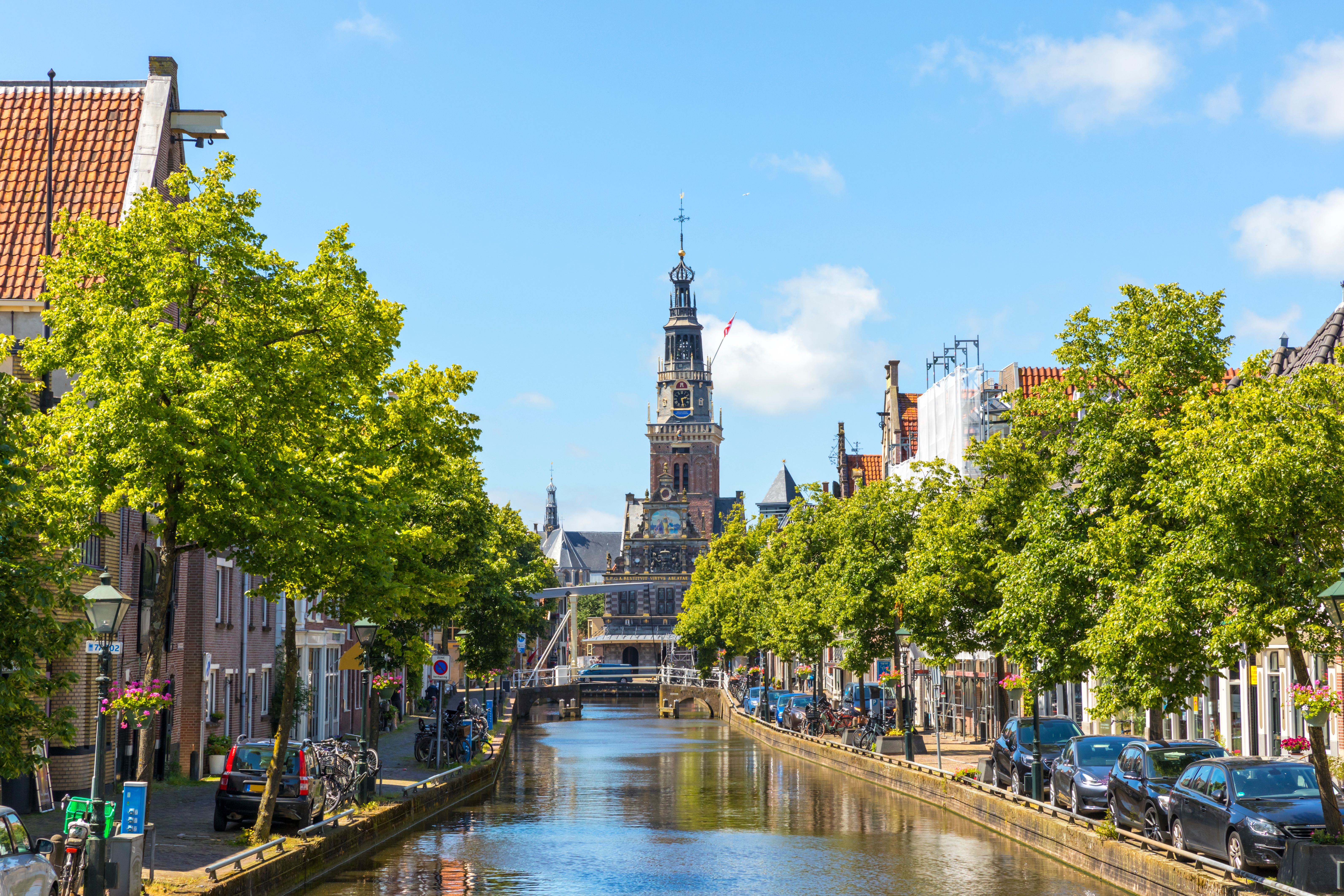 dutch cheese market