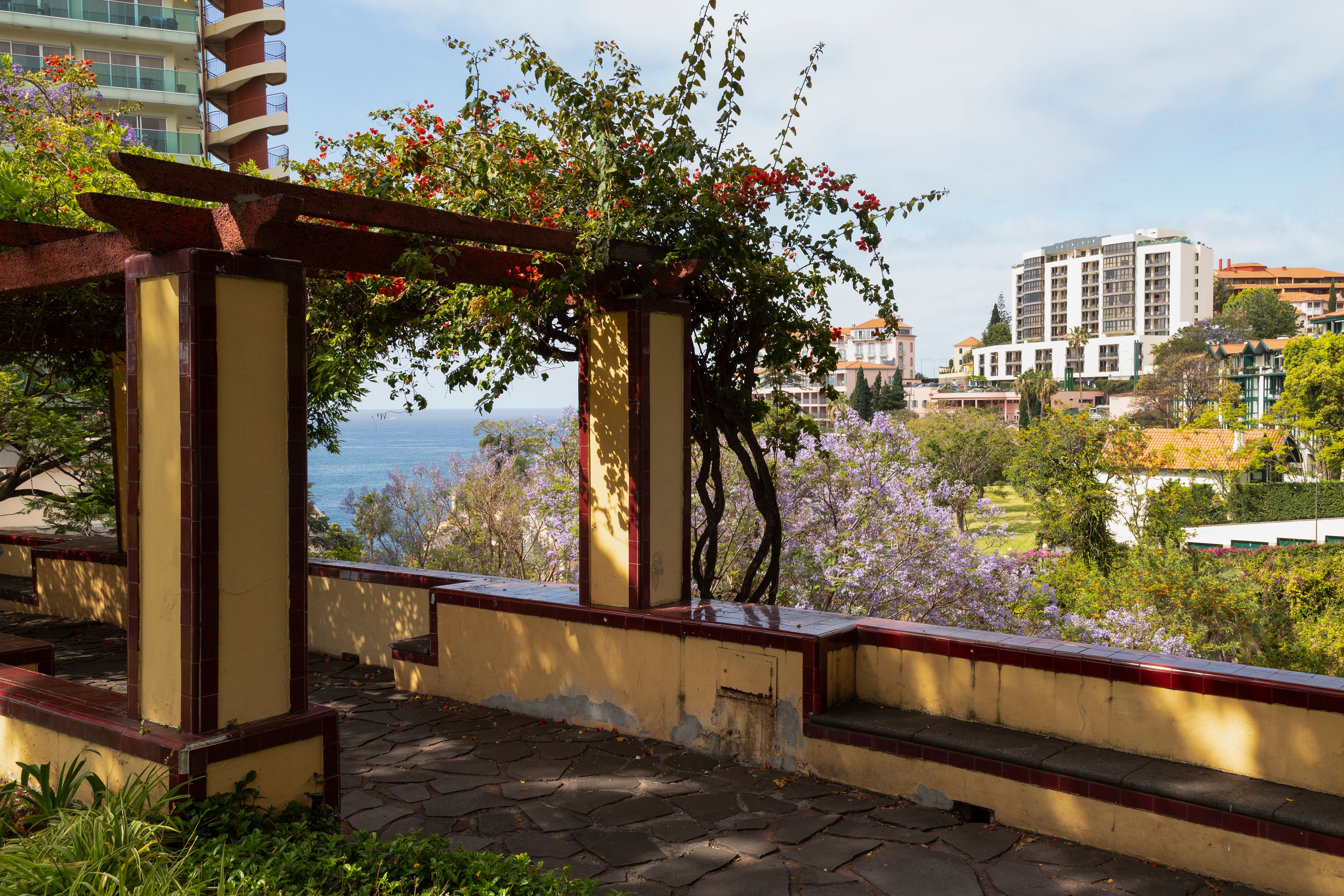 study spot funchal