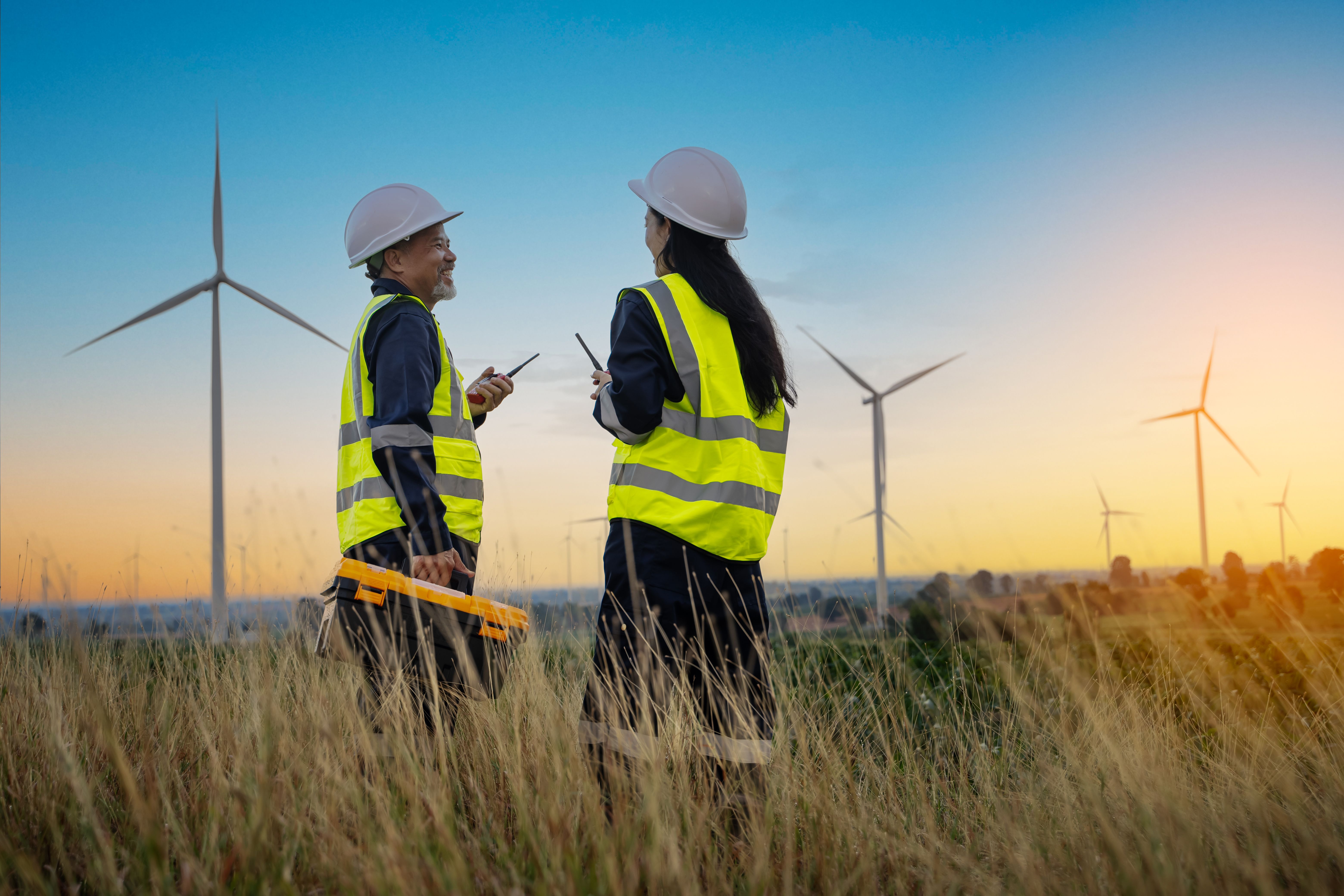 sustainability consulting