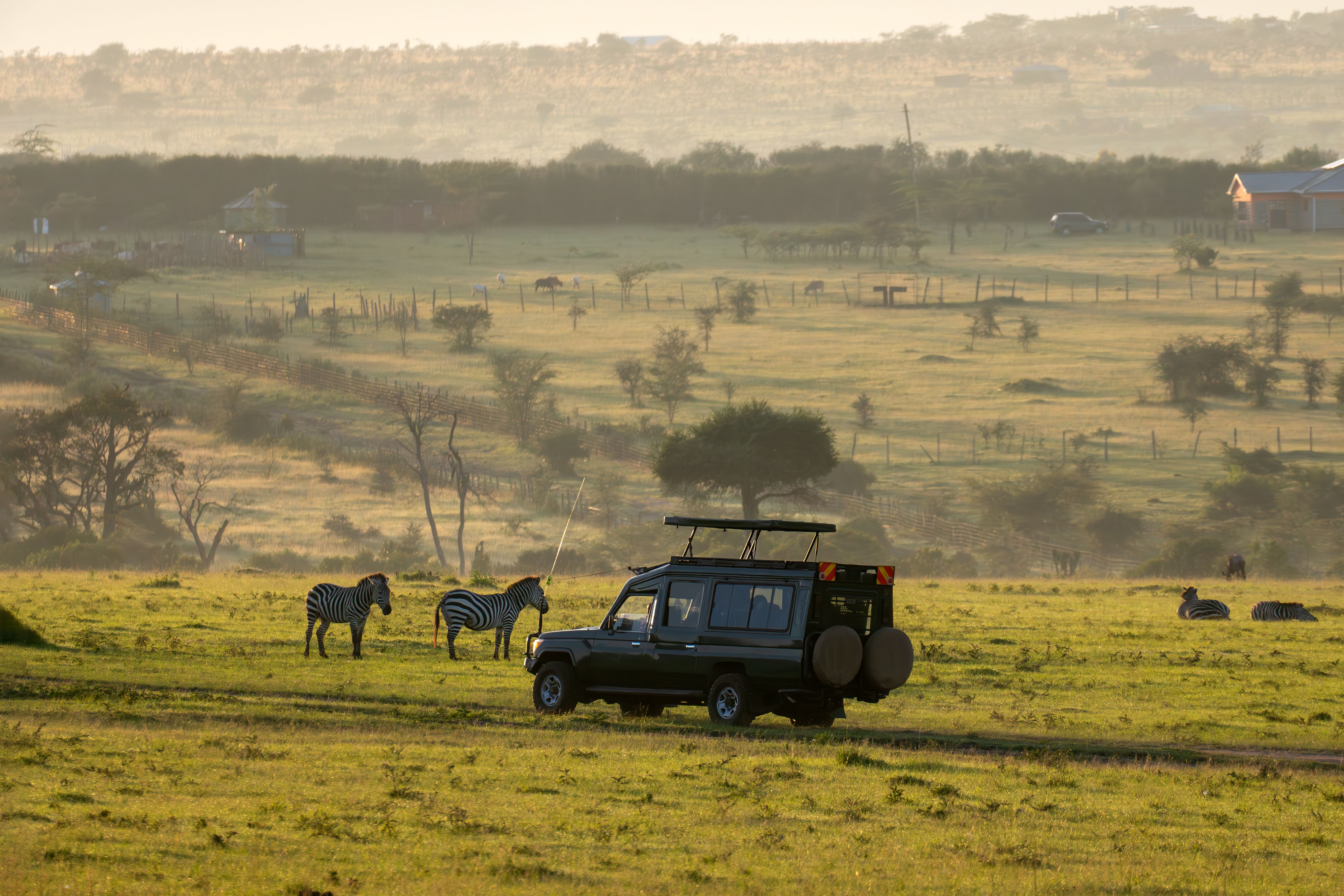 maasai mara