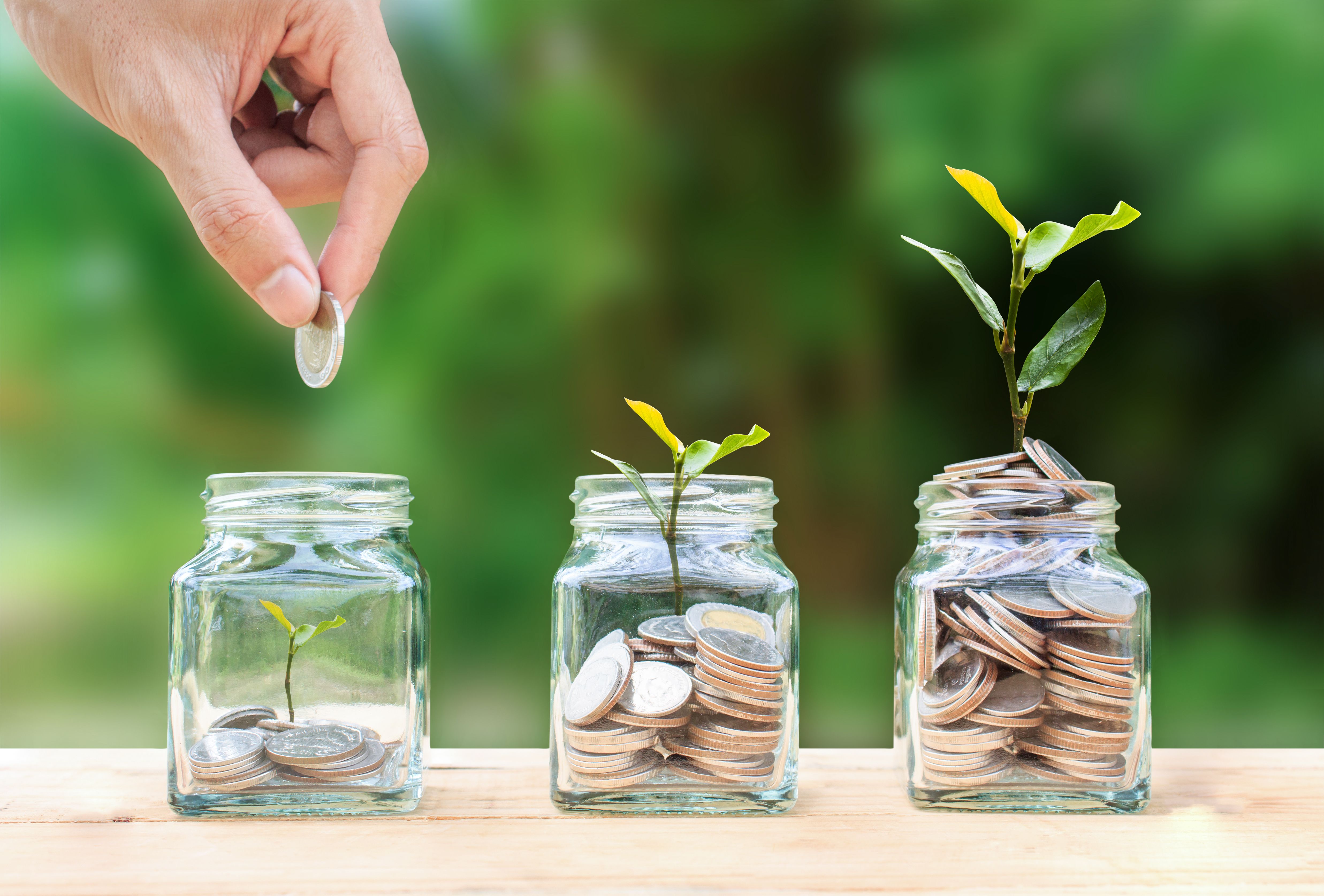 wealth management