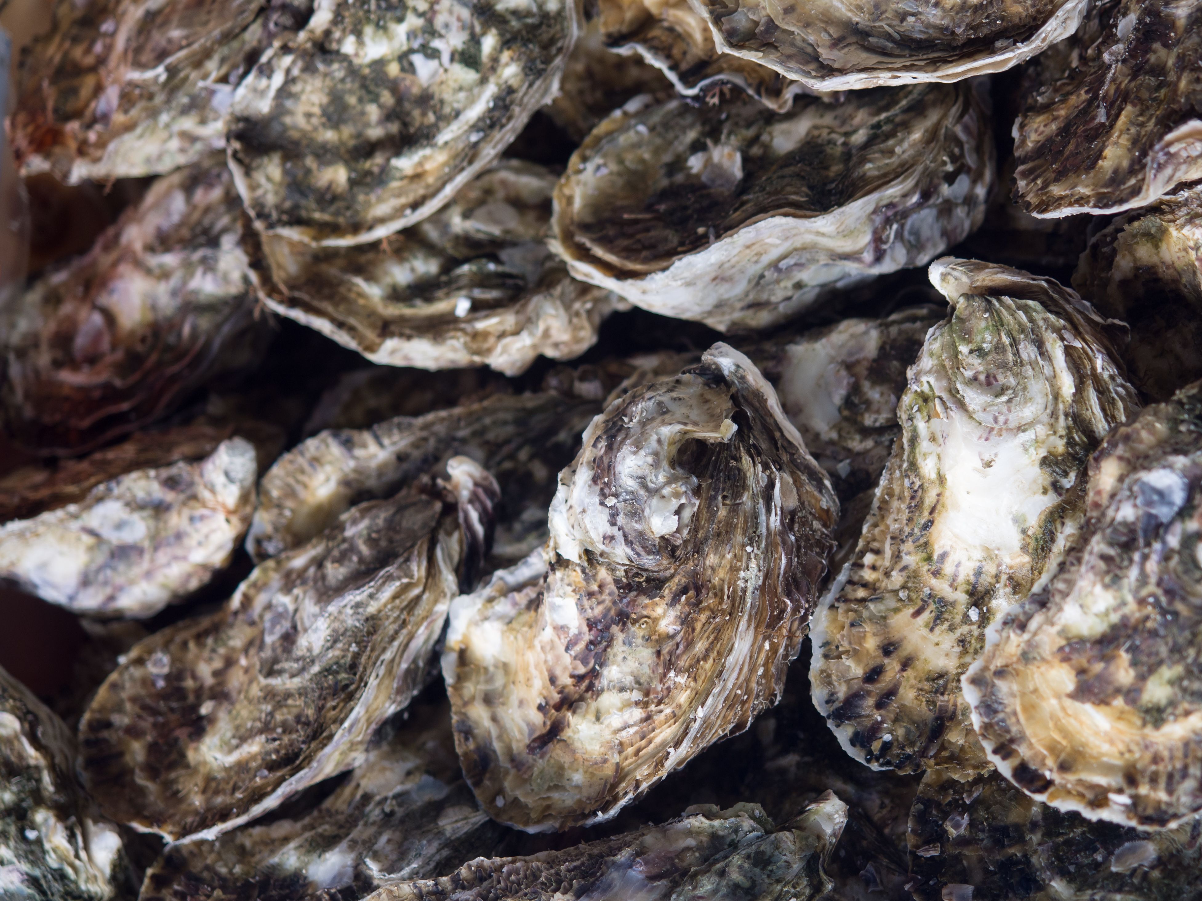 mediterranean market