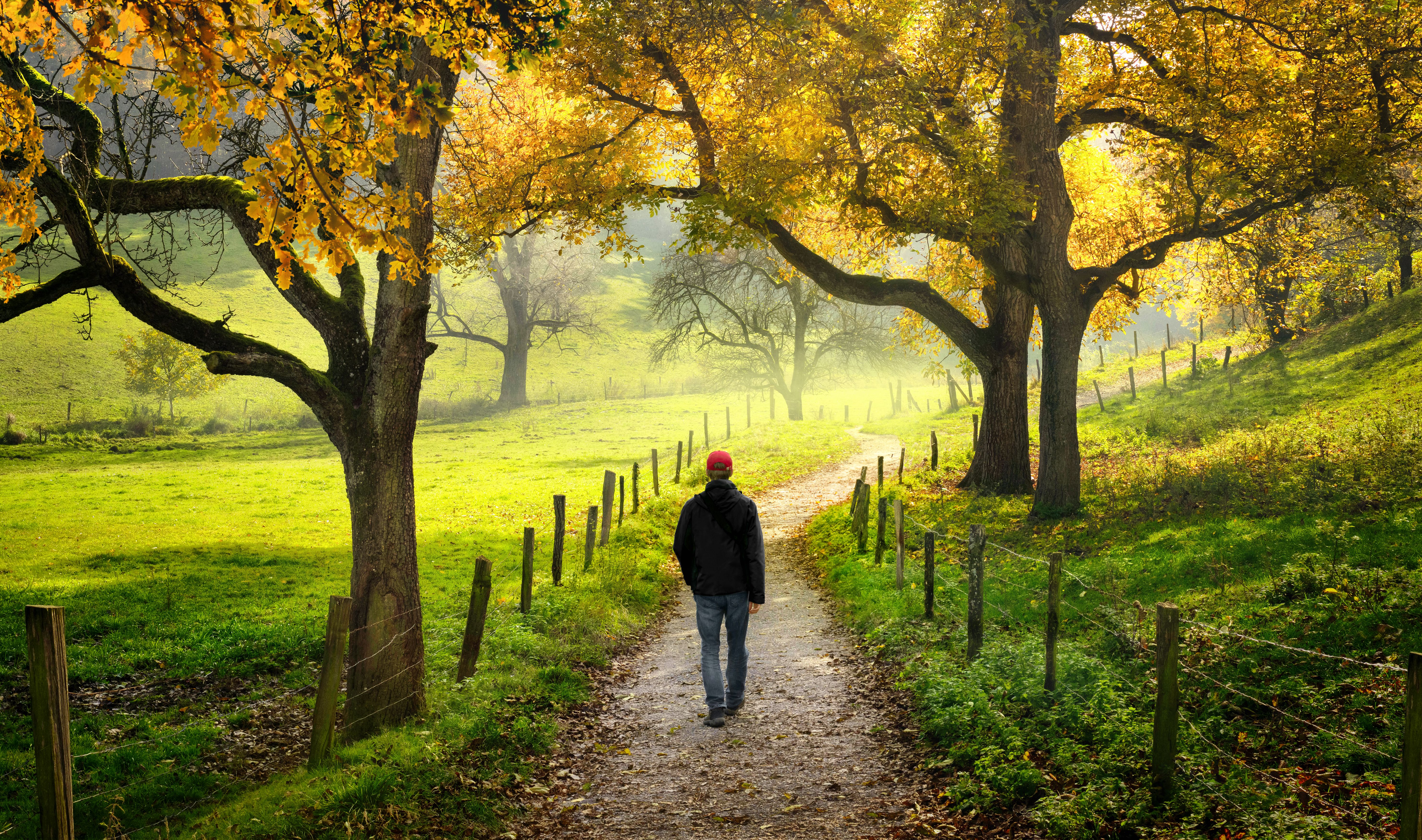 man walking nature