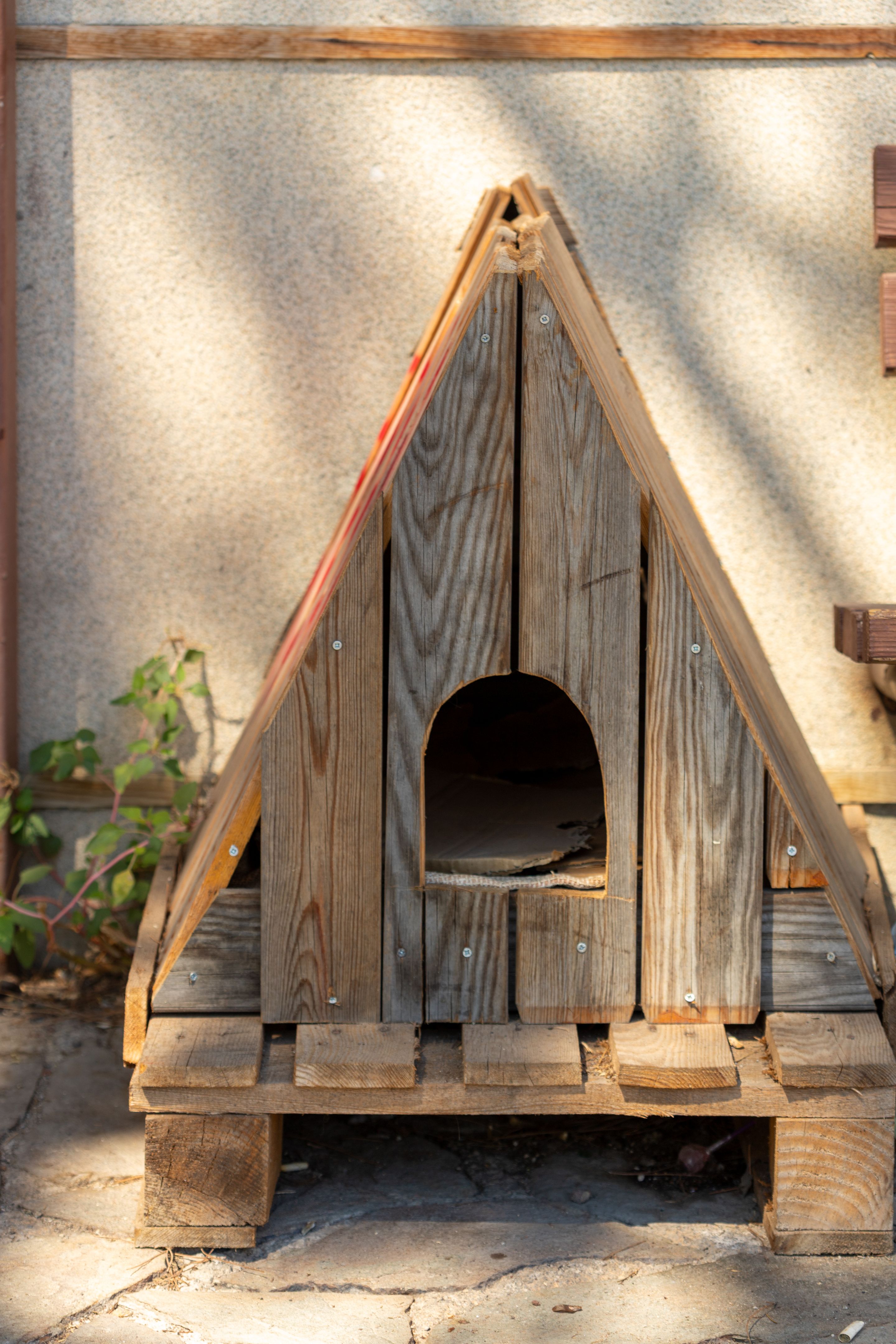 dog kennel