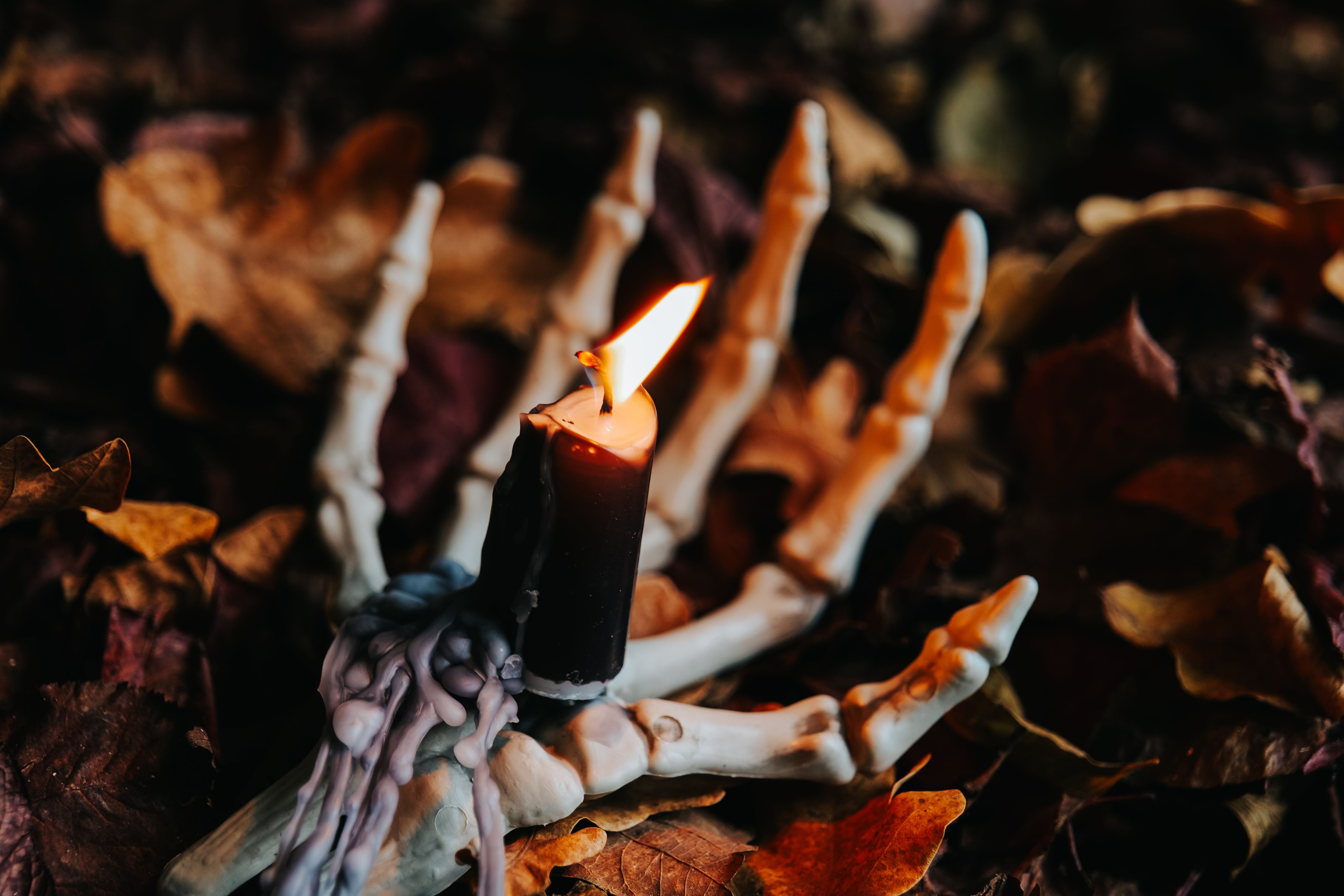 Halloween Candlestick. Burning Candle on Skeleton Hand with Autumn Leaves.Halloween wallpaper with bone hand and candle.