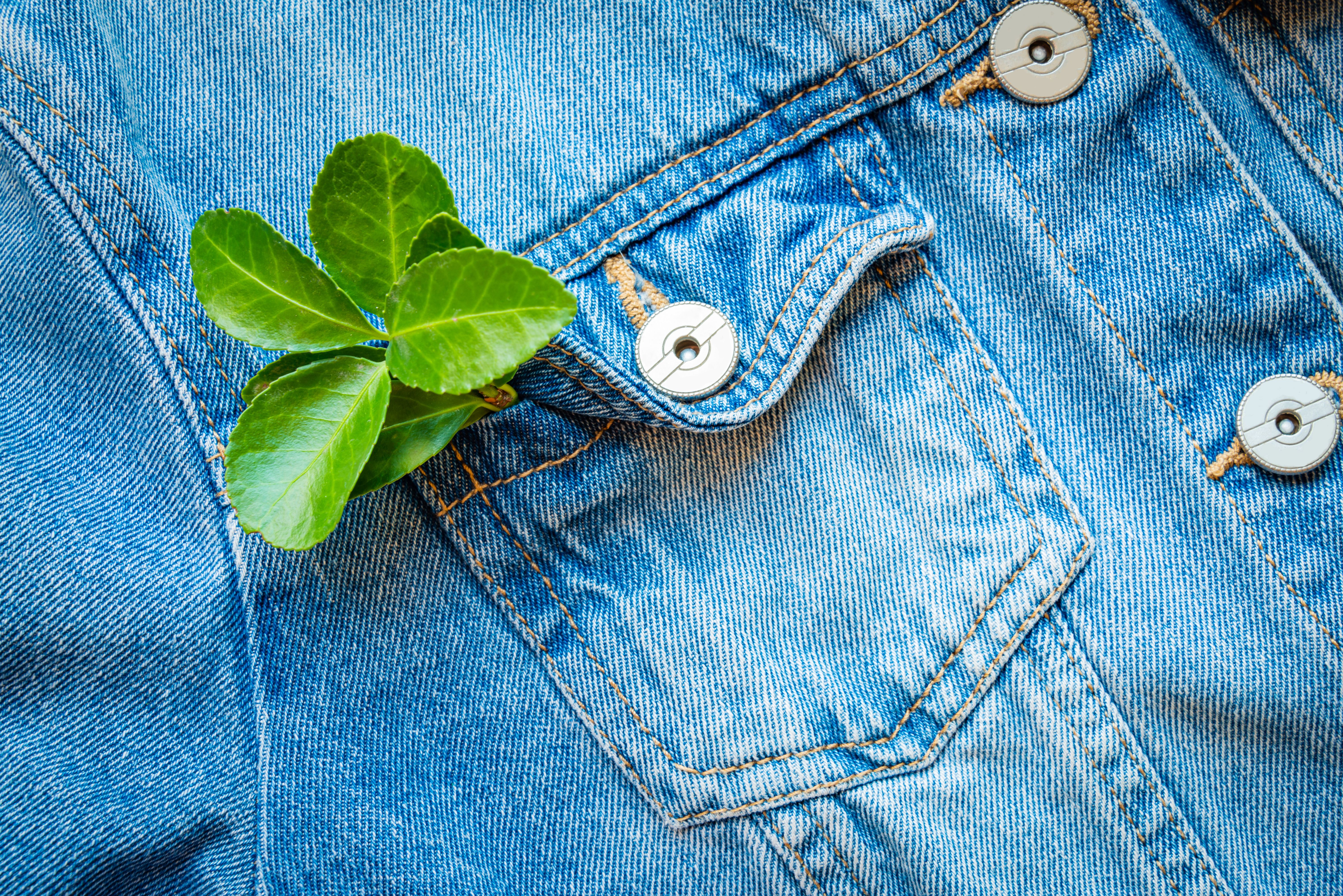 eco fashion