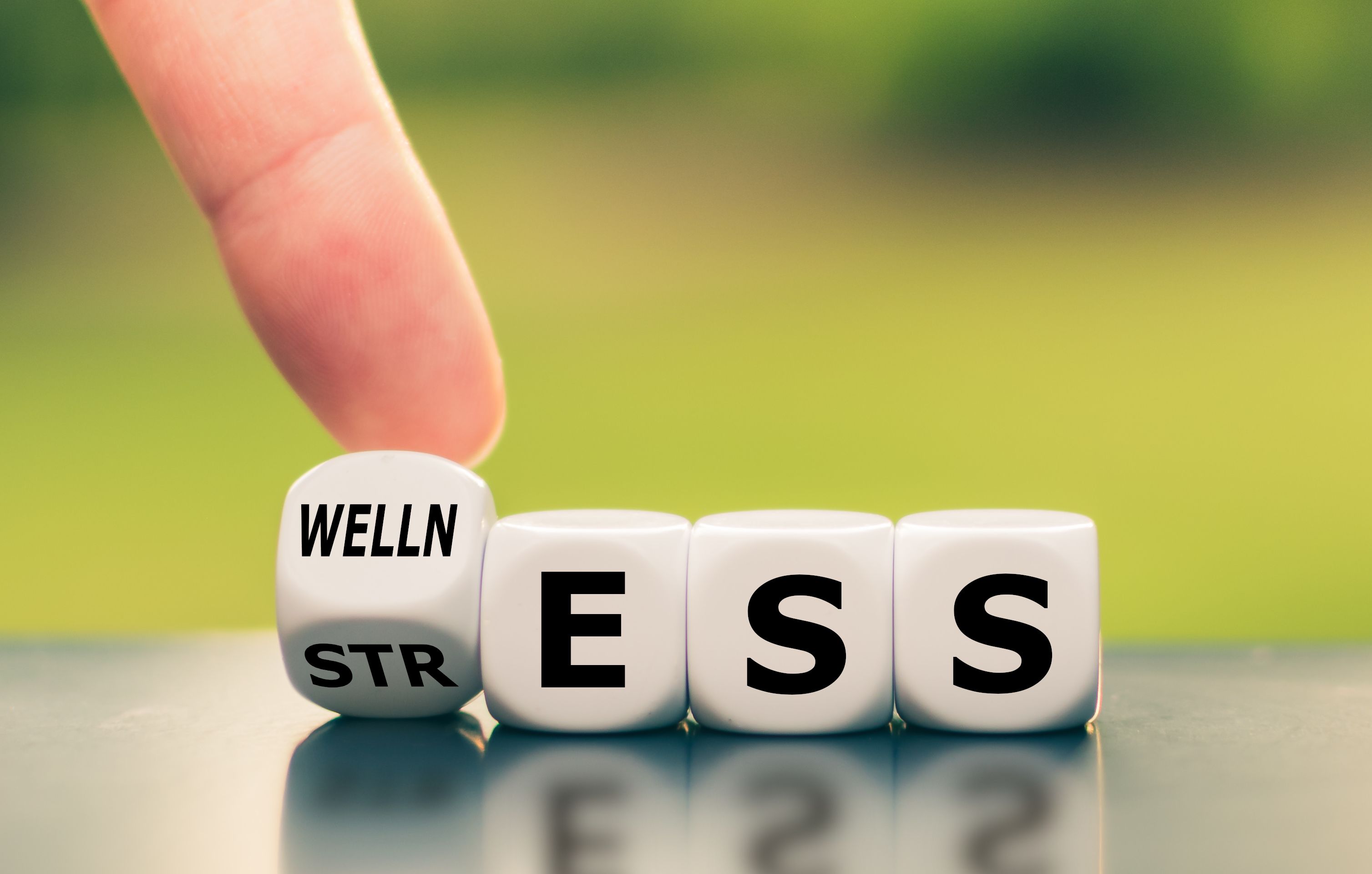 Wellness instead of stress. Hand turns a dice and changes the word Wellness instead of stress. Hand turns a dice and changes the word