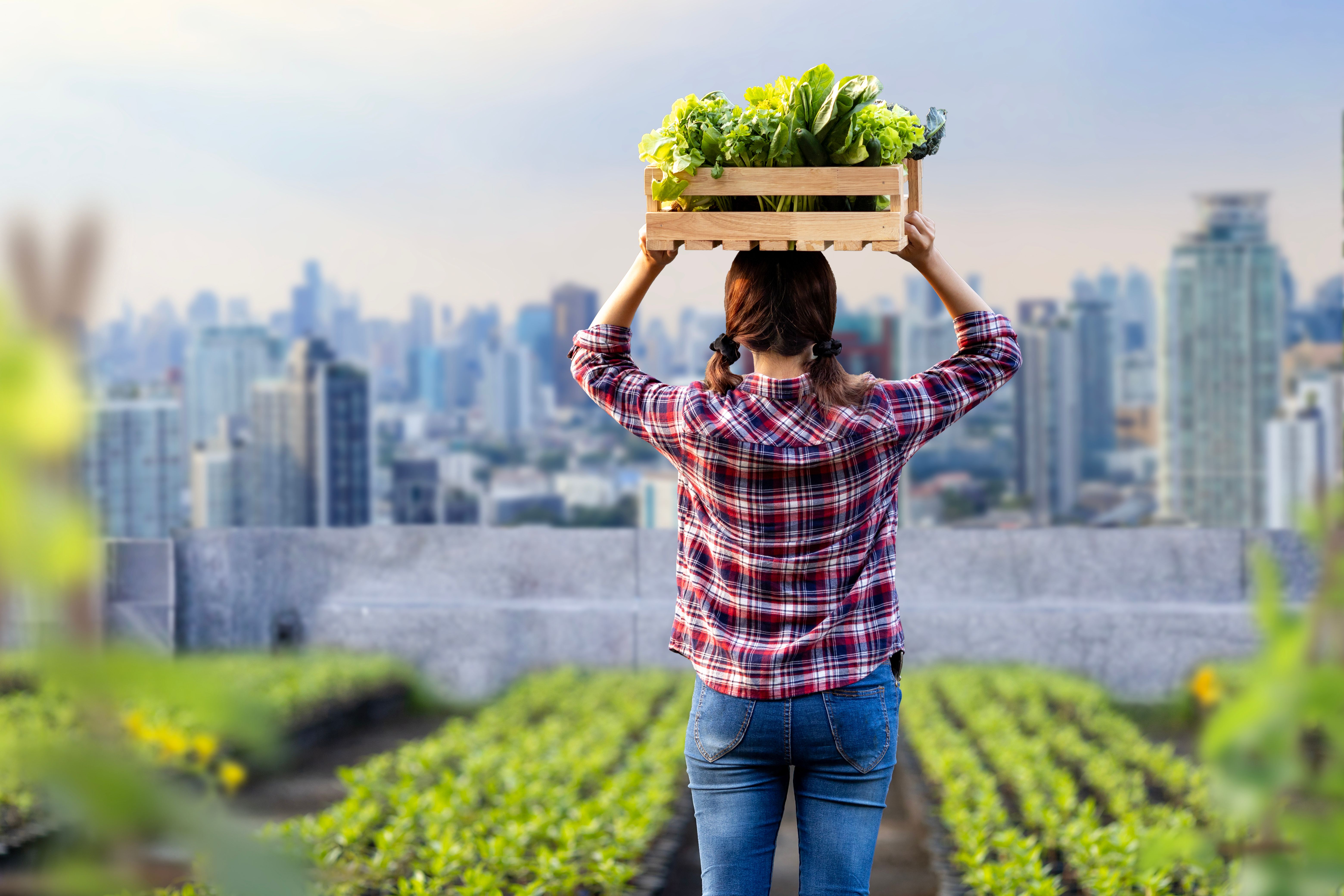 food security
