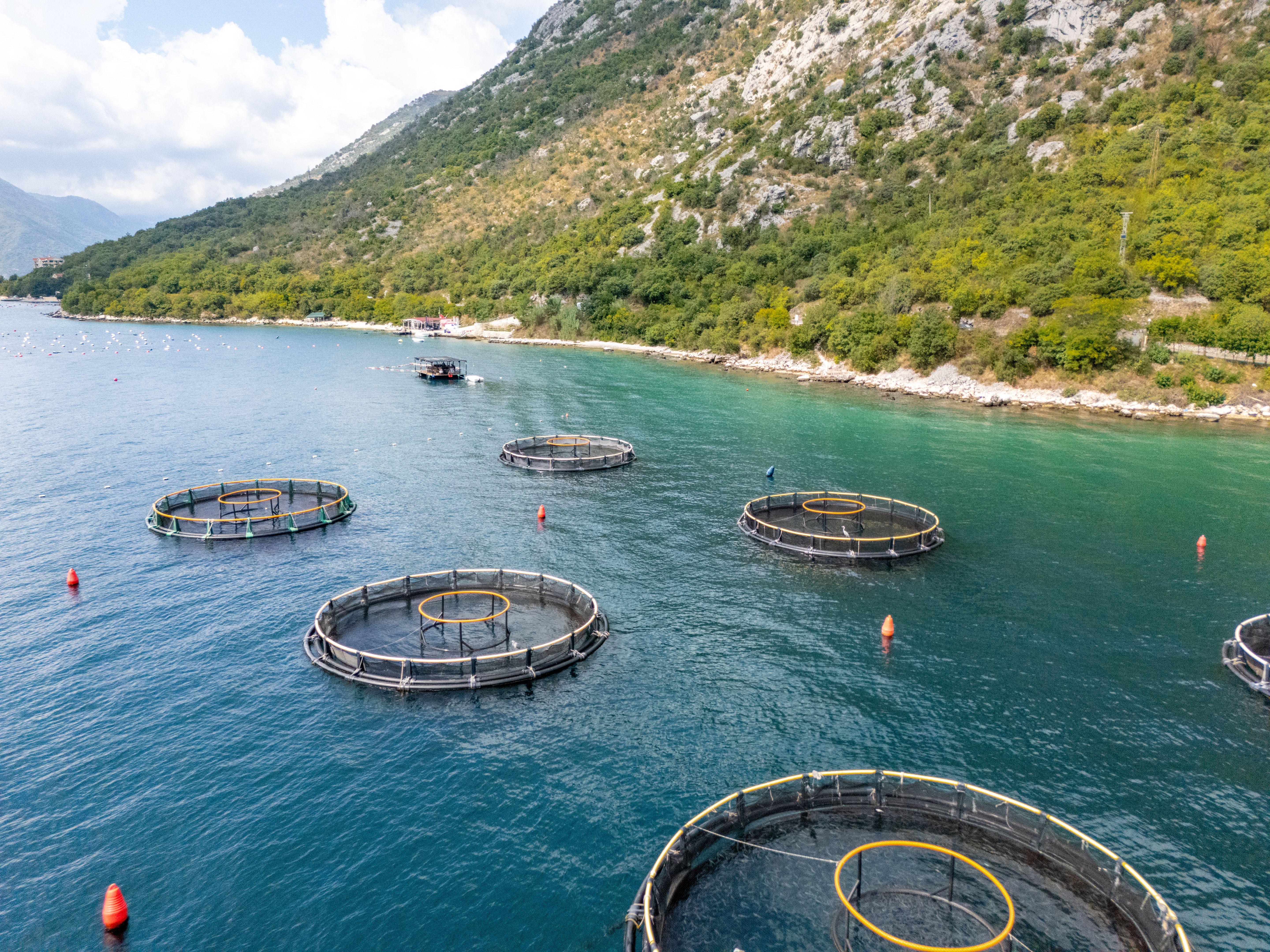 clean environment fishing