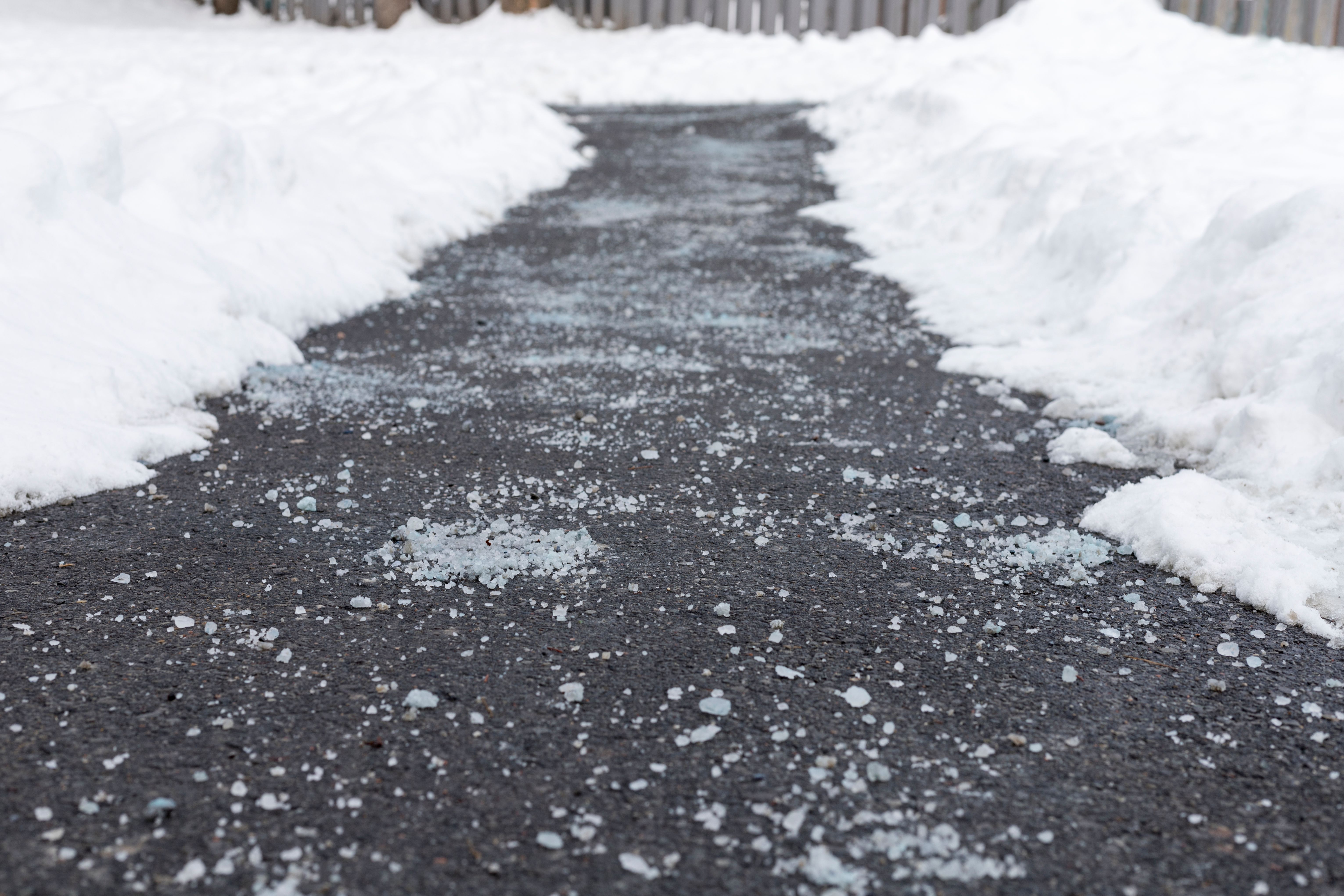snow covered sidewalk