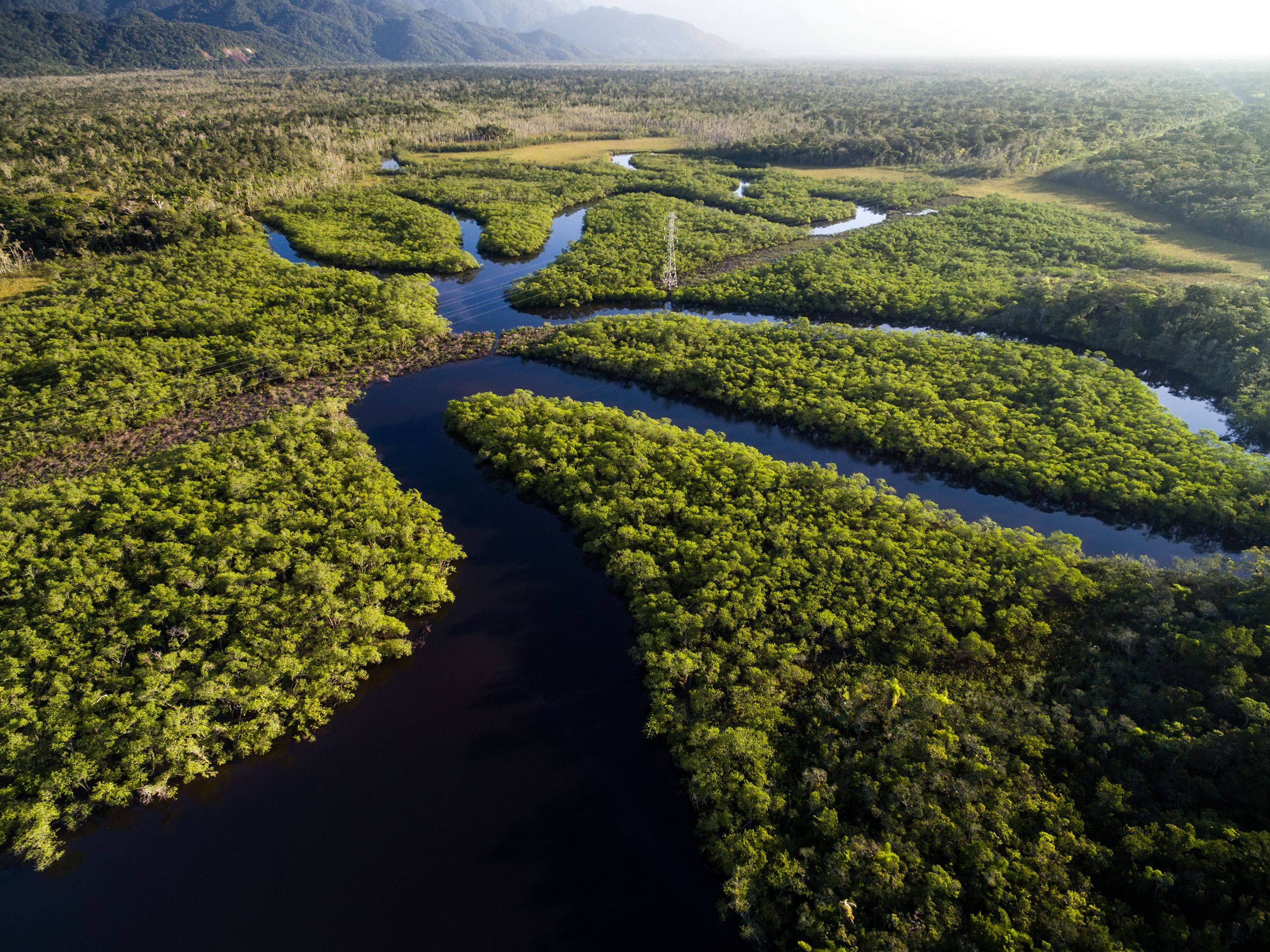 Vista aérea de uma floresta tropical no Brasil Vista aérea de uma floresta tropical no Brasil