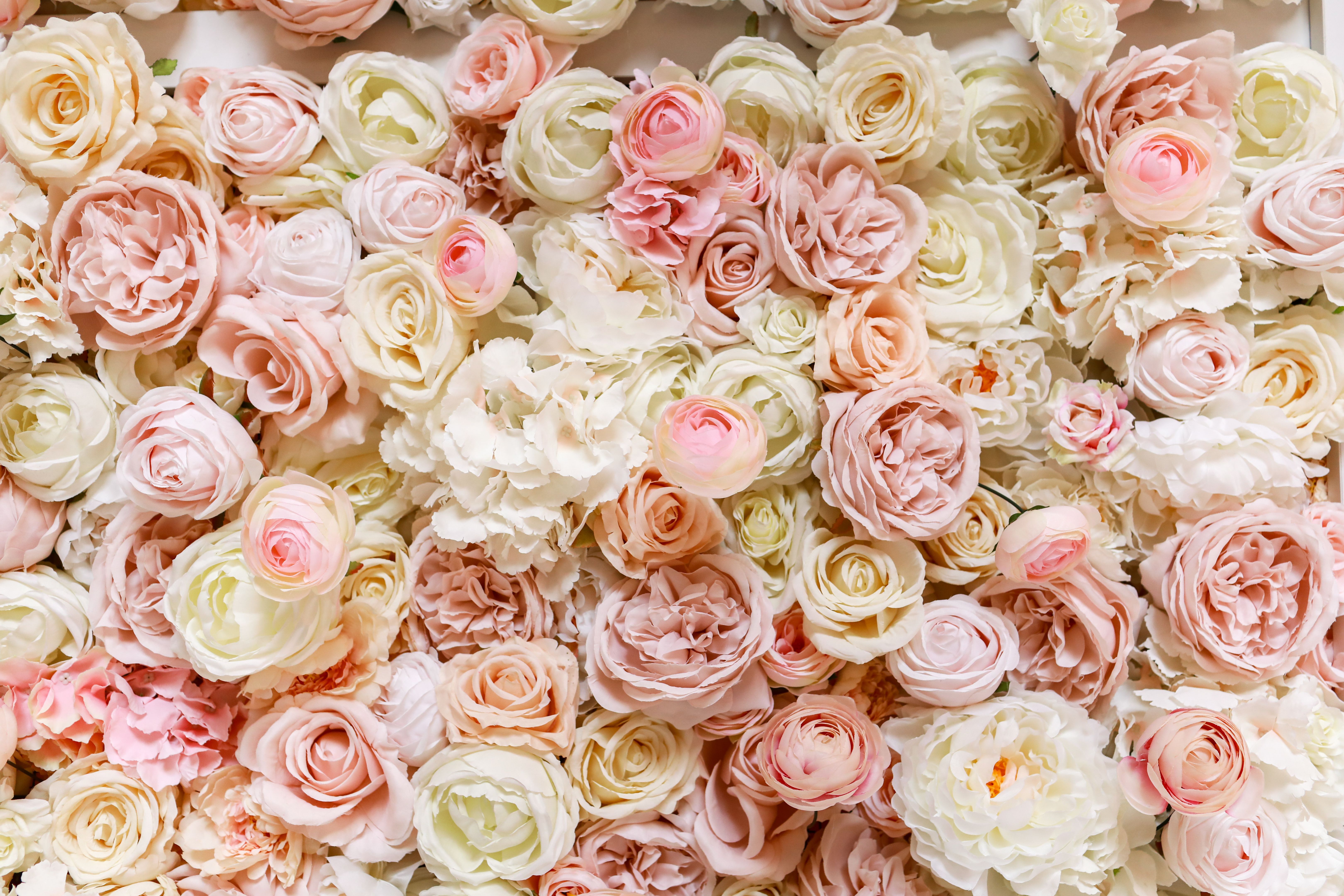 Flowers wall background with amazing pink and white roses, peonies and hydrangeas, wedding decorations, handmade.