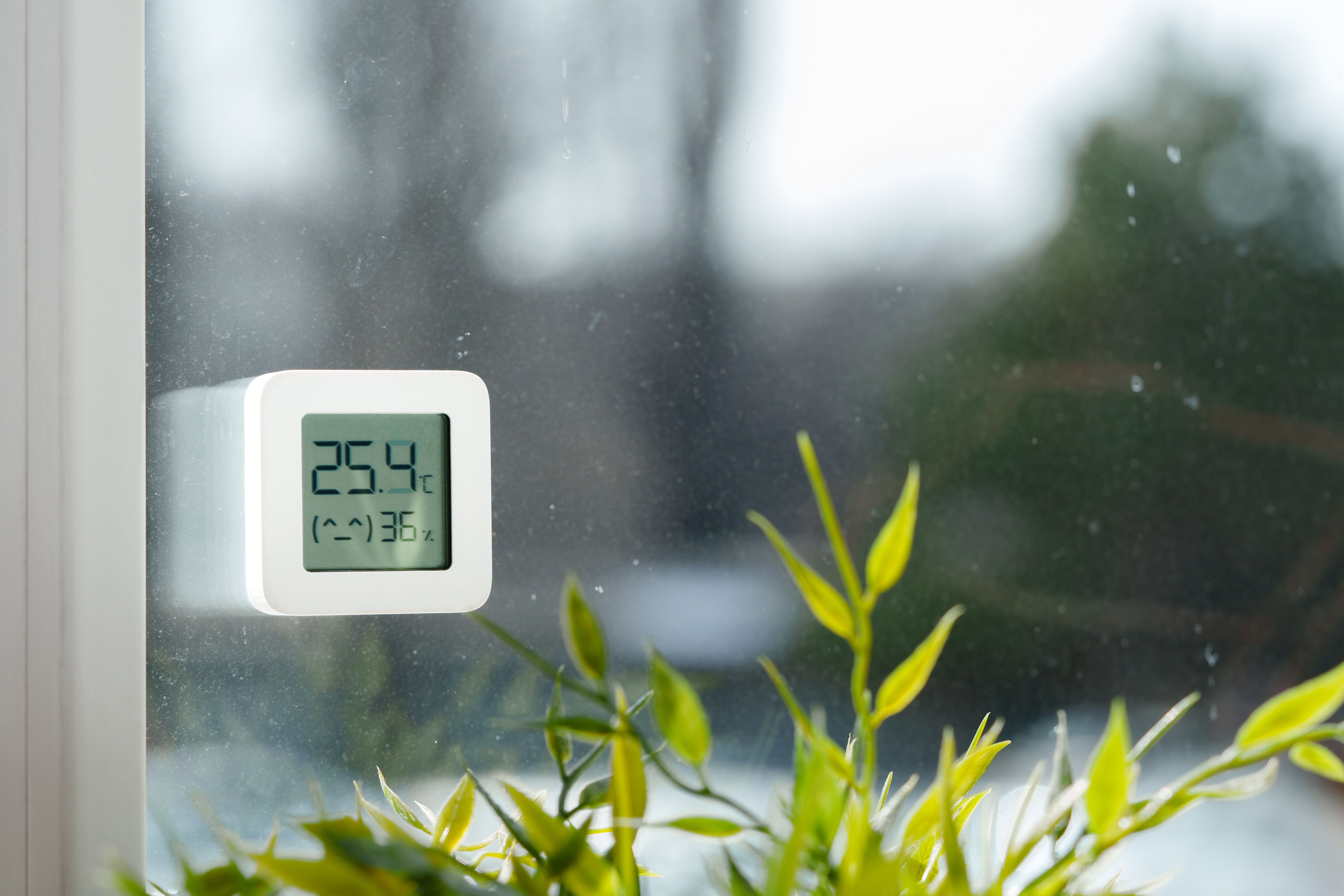 humid weather