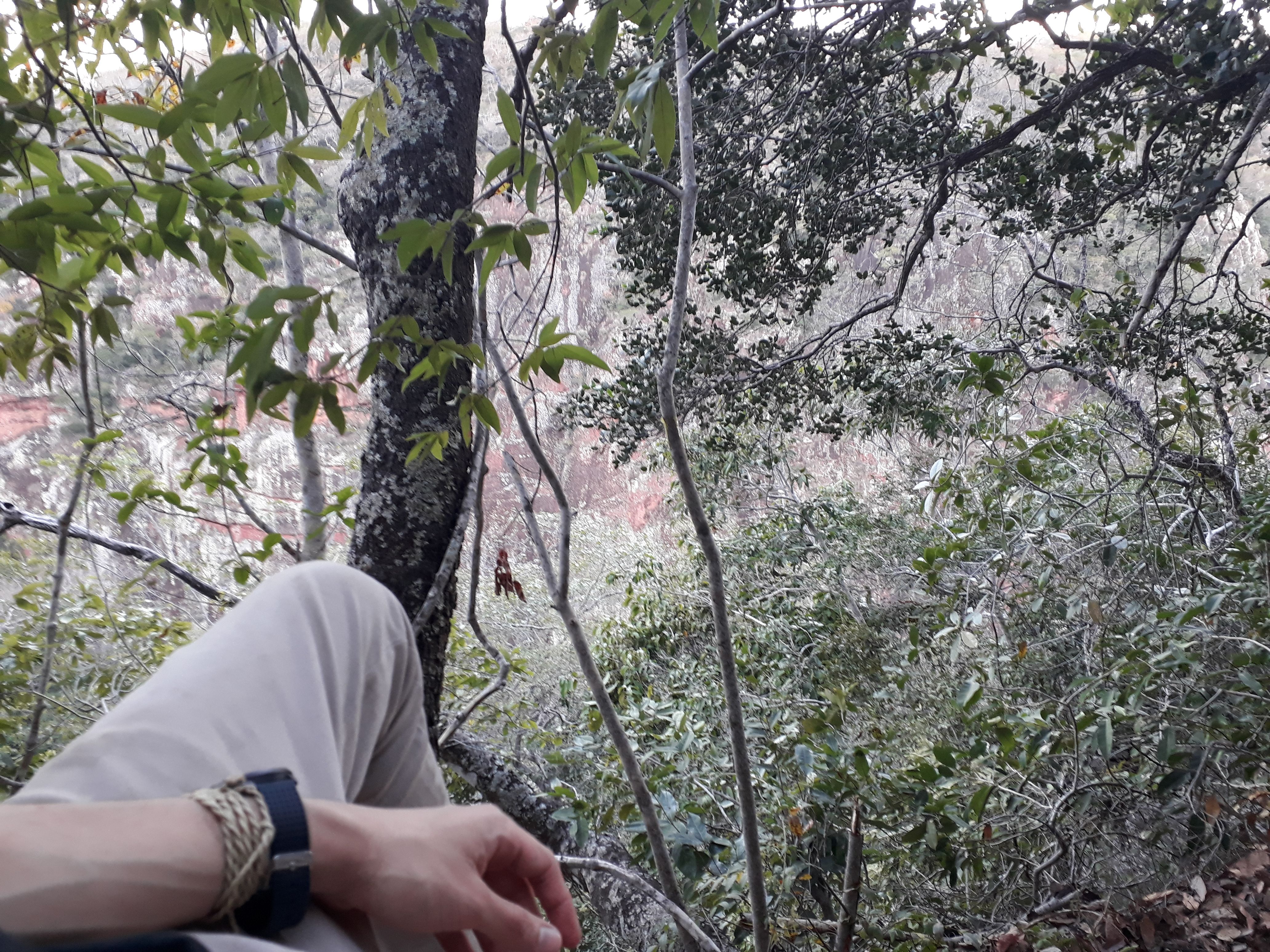 meditação natureza