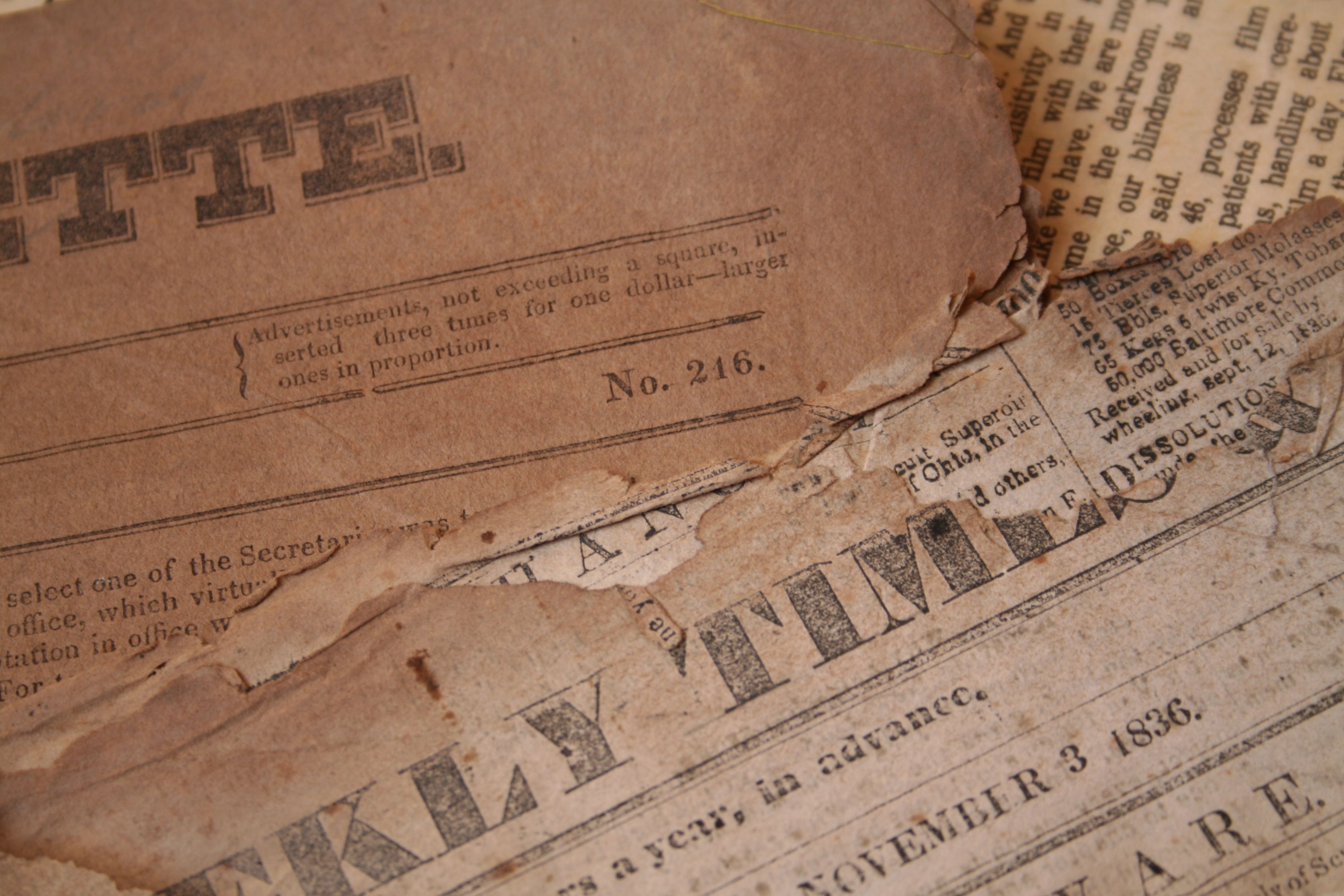 family history interview