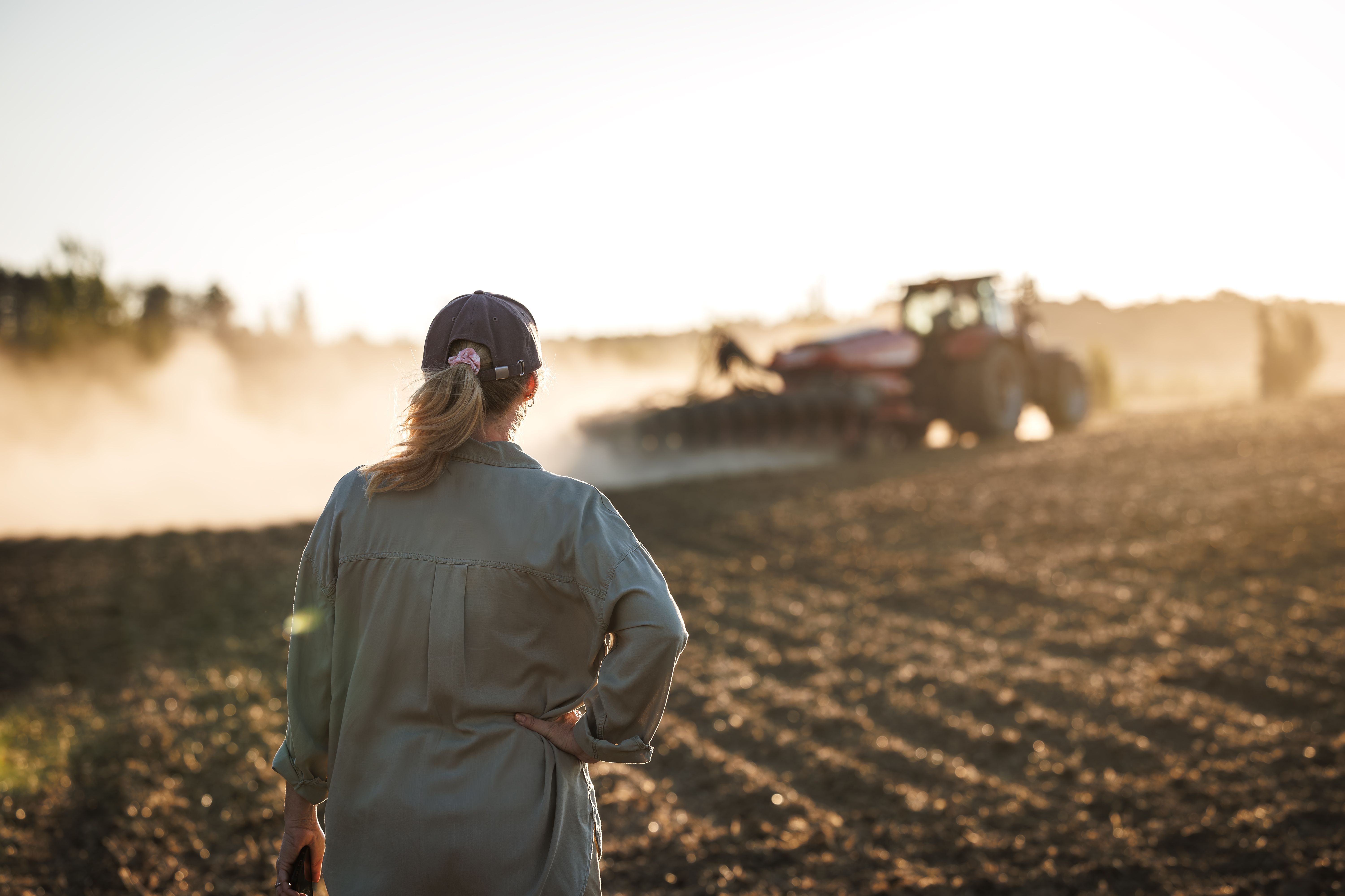 crop monitoring